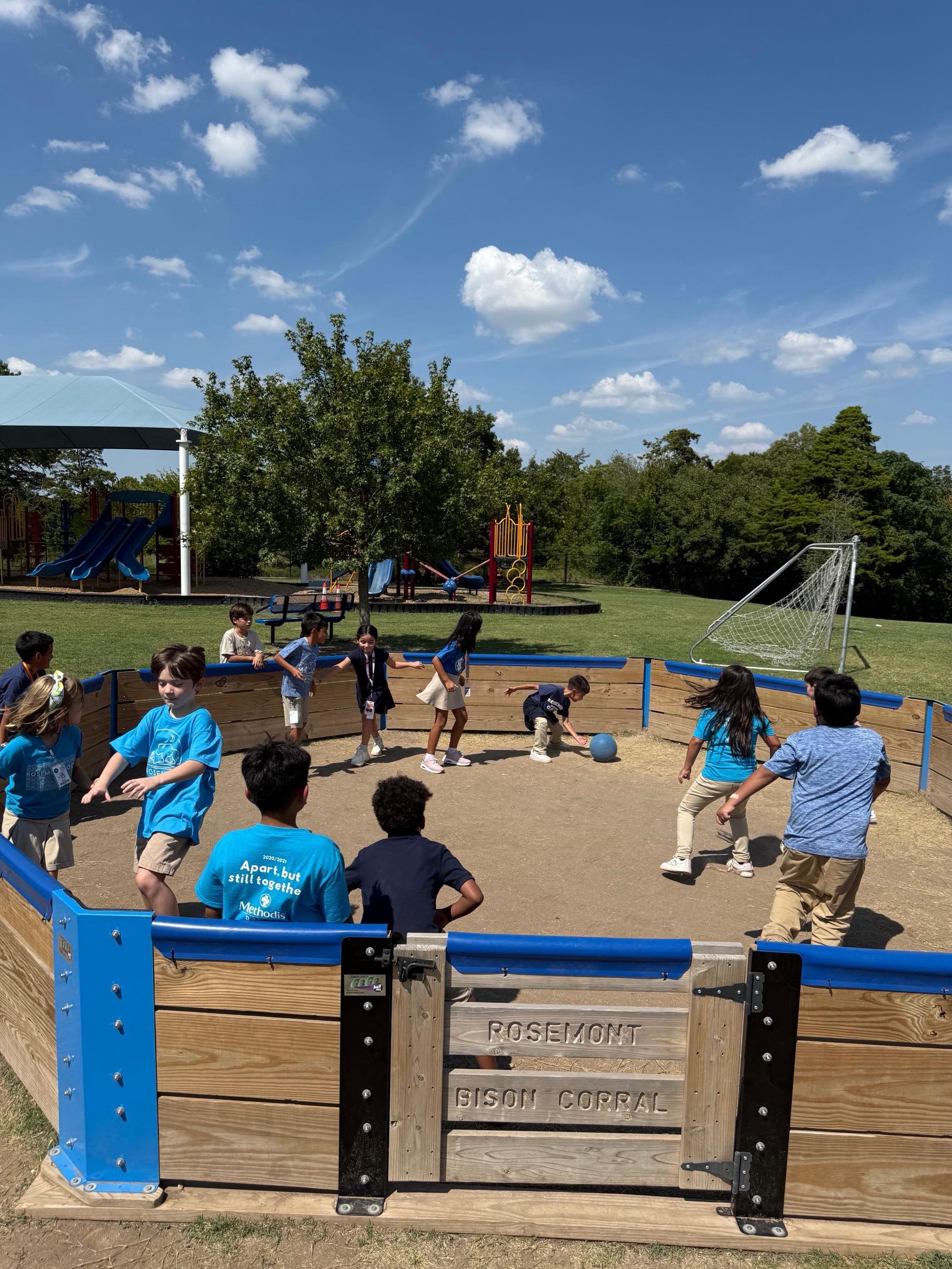 Gaga Ball Pit Build Day