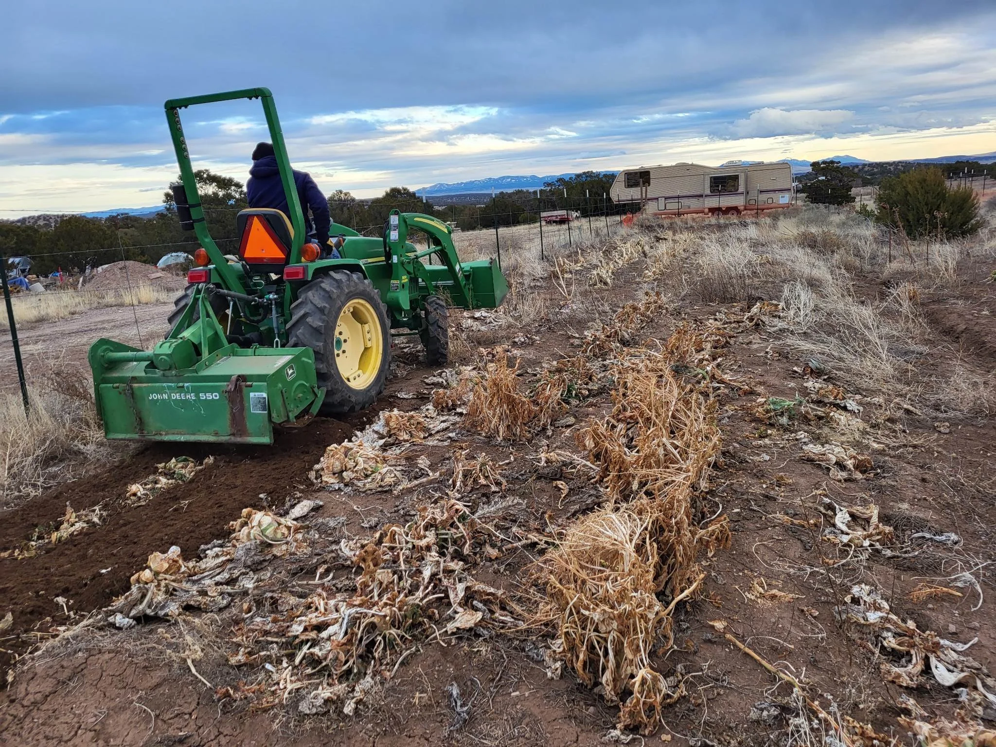Rototilling the soil.