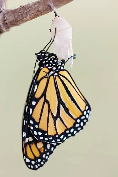 The Miracle of Change — Born Again for a New Life