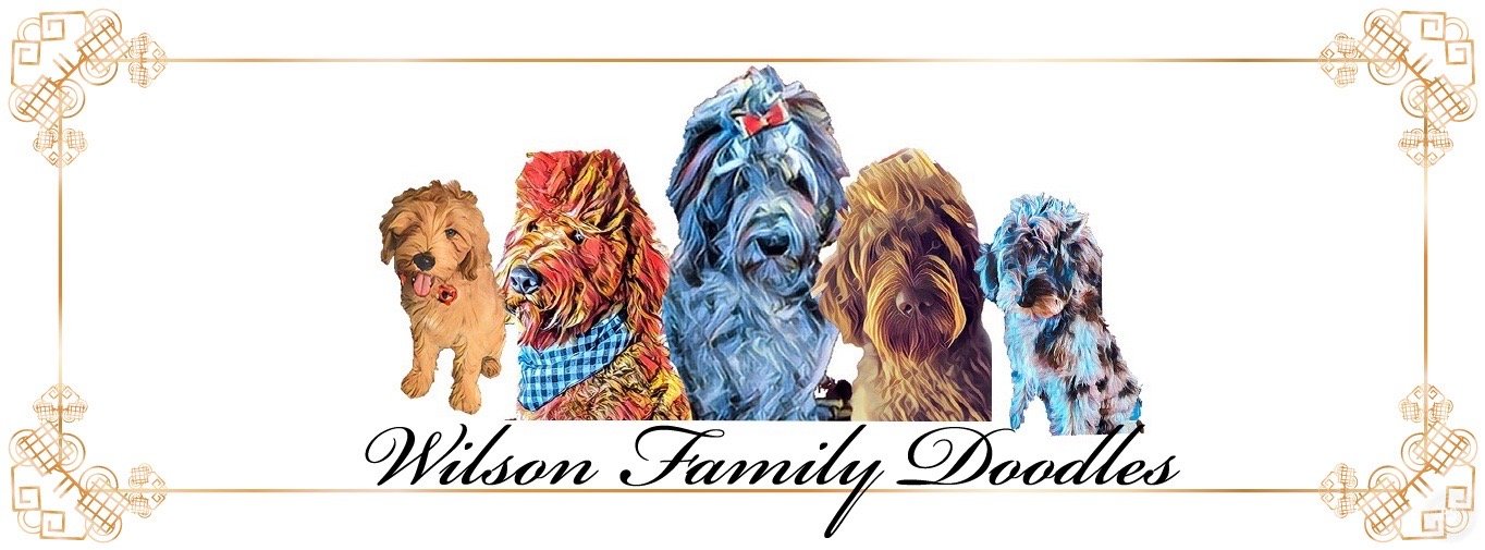 Wilson Family Doodles