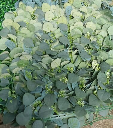 Backdrop Eucalyptus Panels