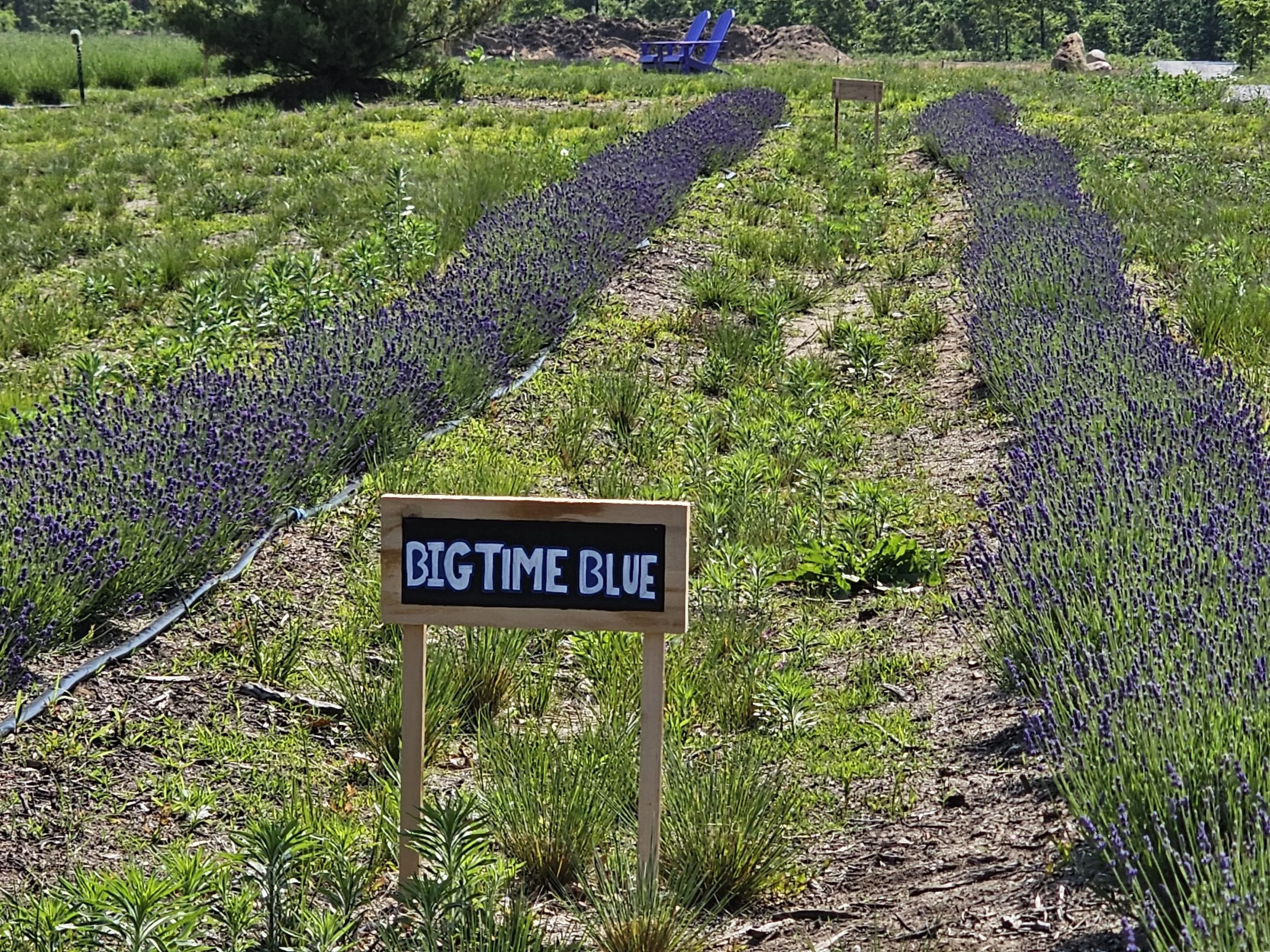 20240617_104405.jpg
