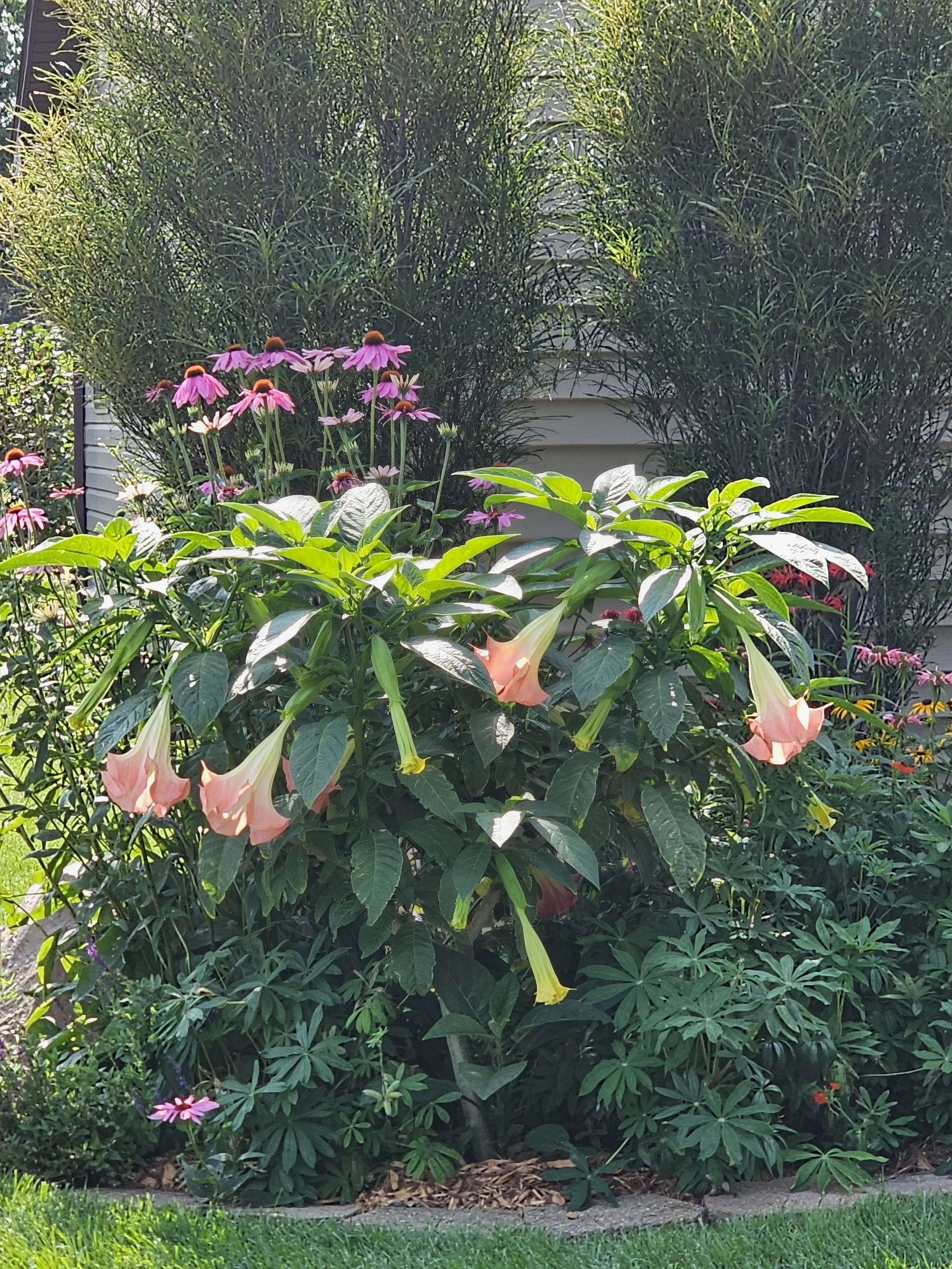 20240728_104218.jpg