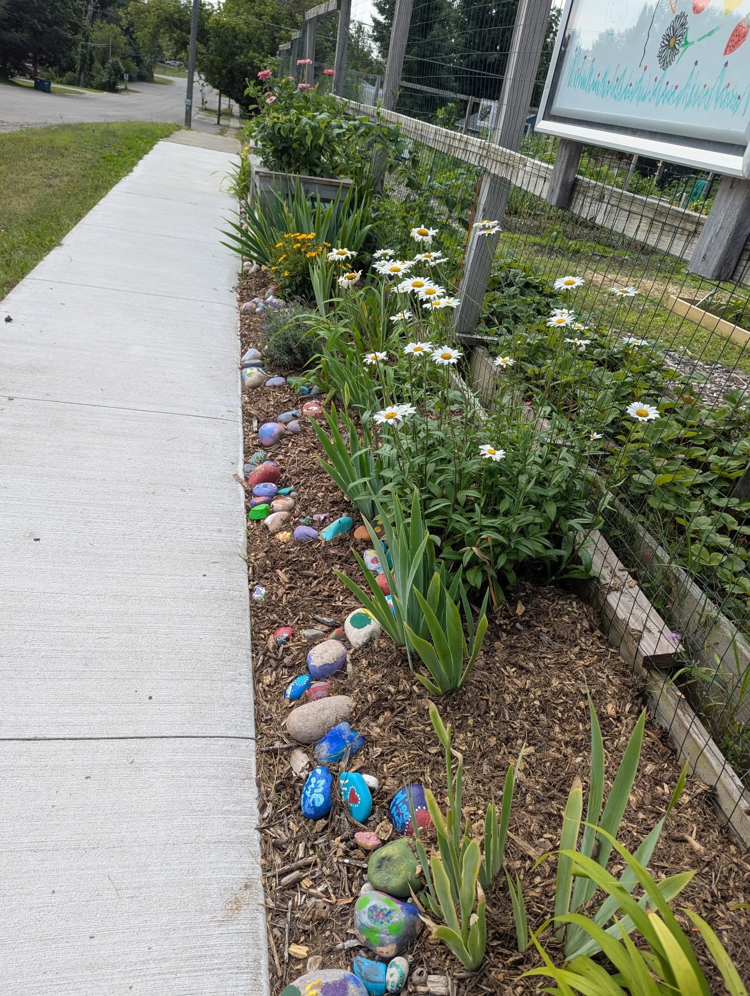 IMG_20260810_185009.jpg