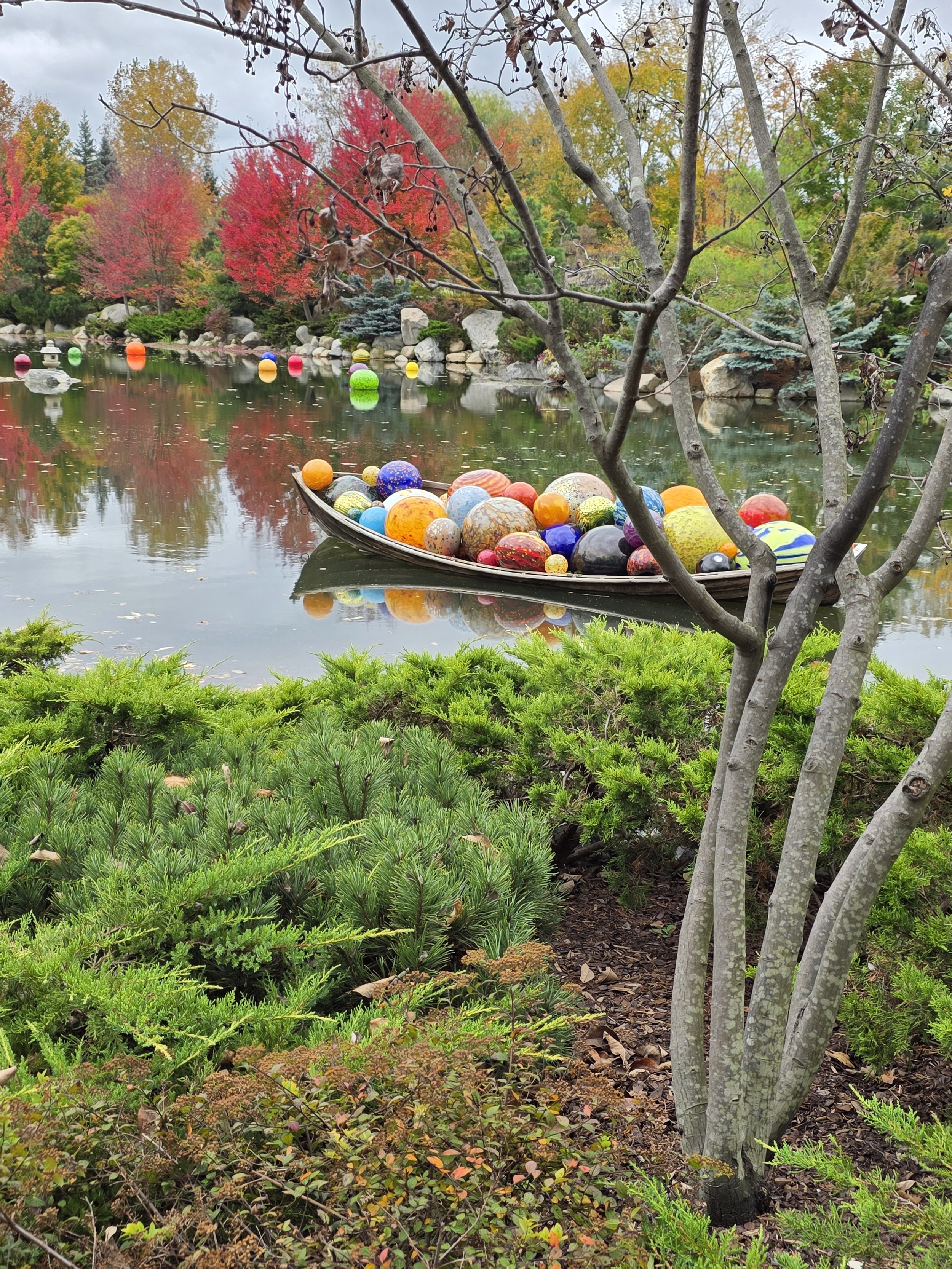 20261014_131831.jpg