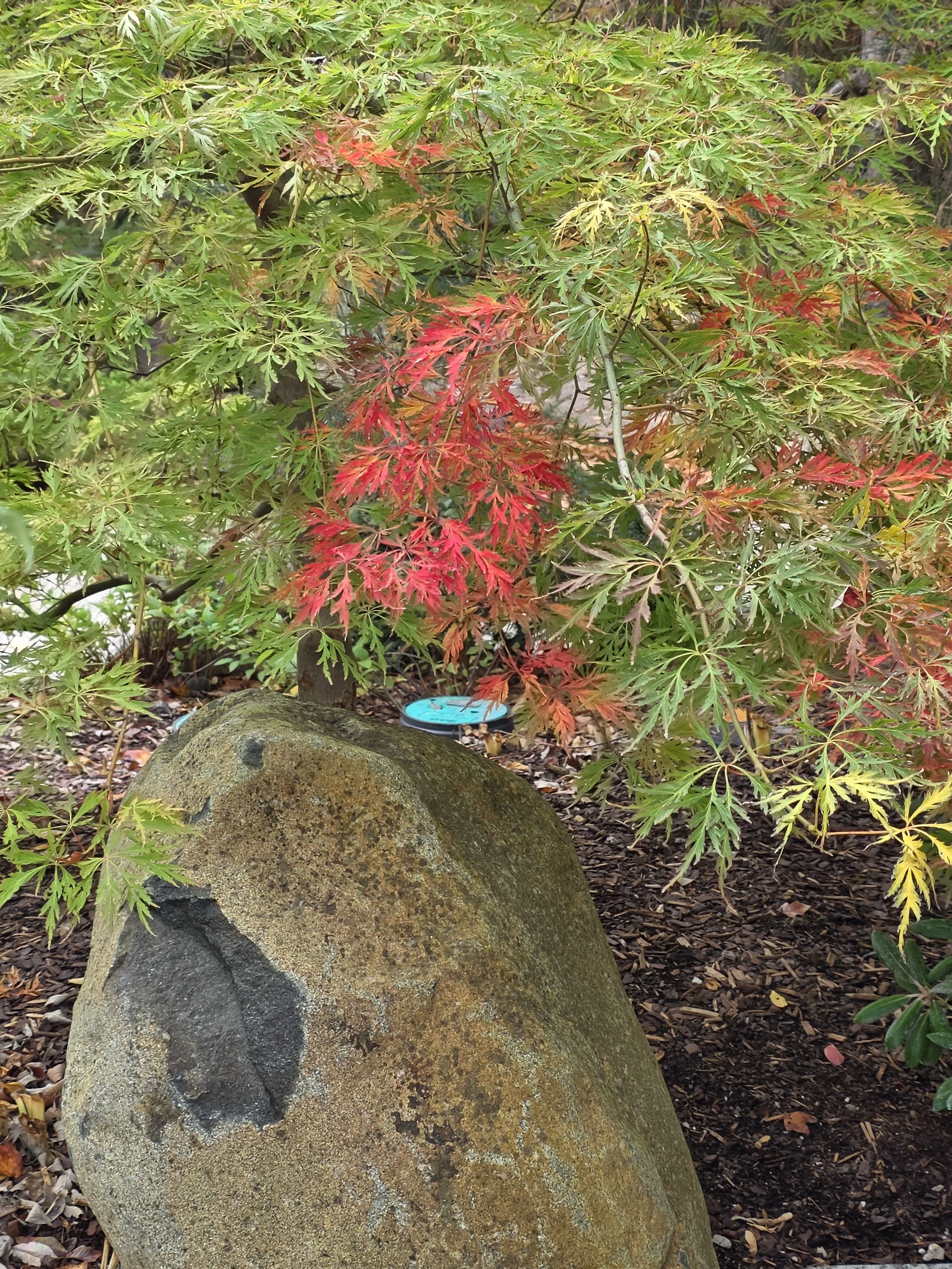 20261014_130126.jpg