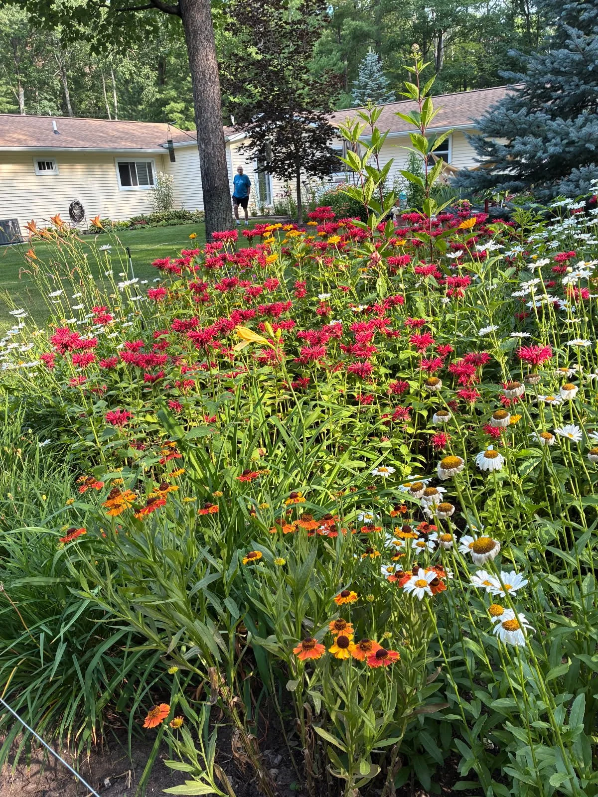 IMG_20260805_172443.jpg