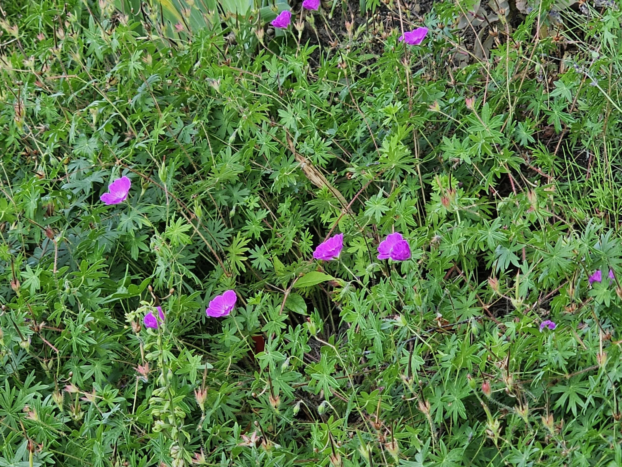 20240728_102045.jpg