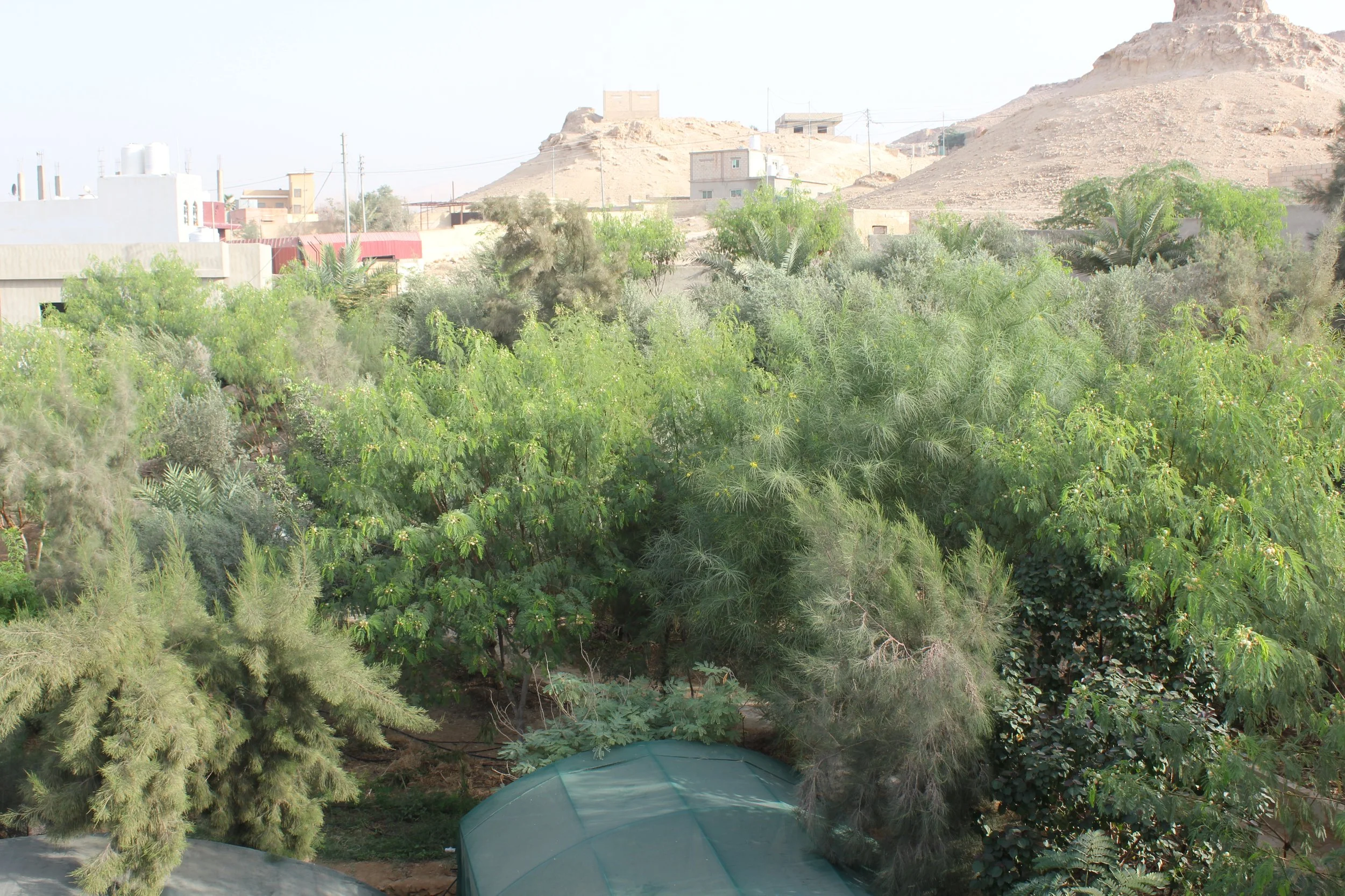 GTD Internship (11).JPG