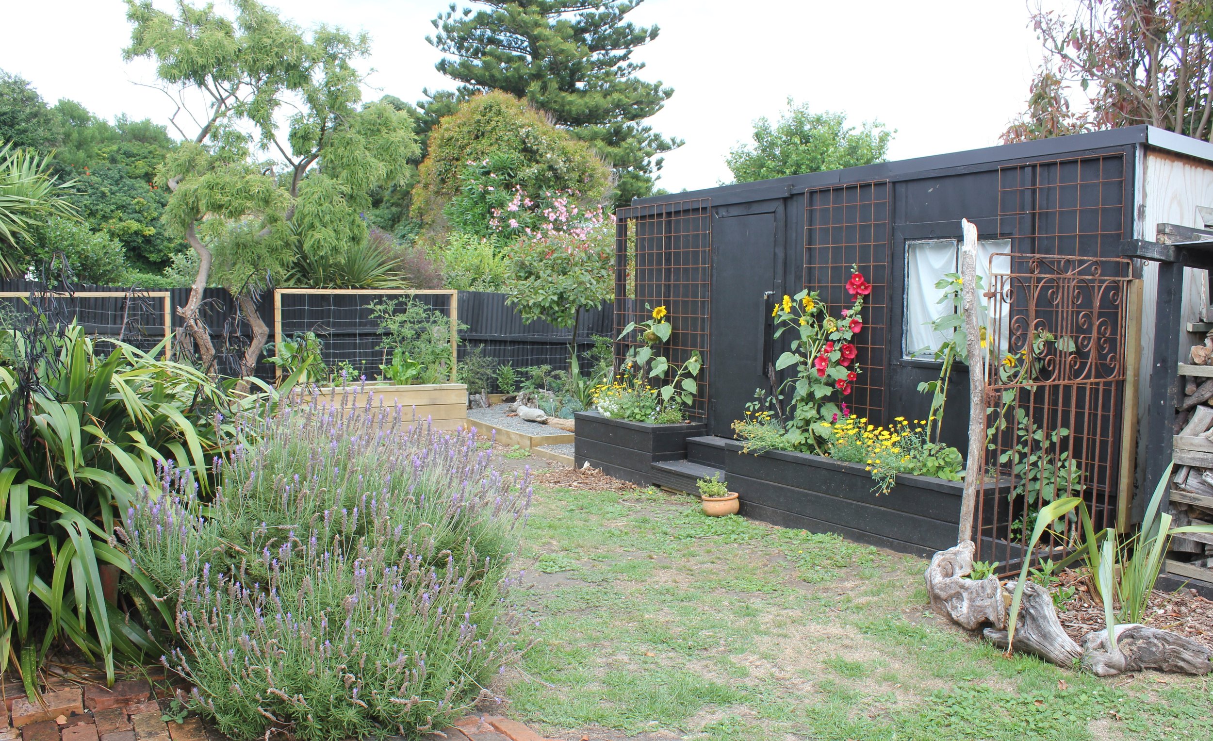 Cornfoot After (16).JPG