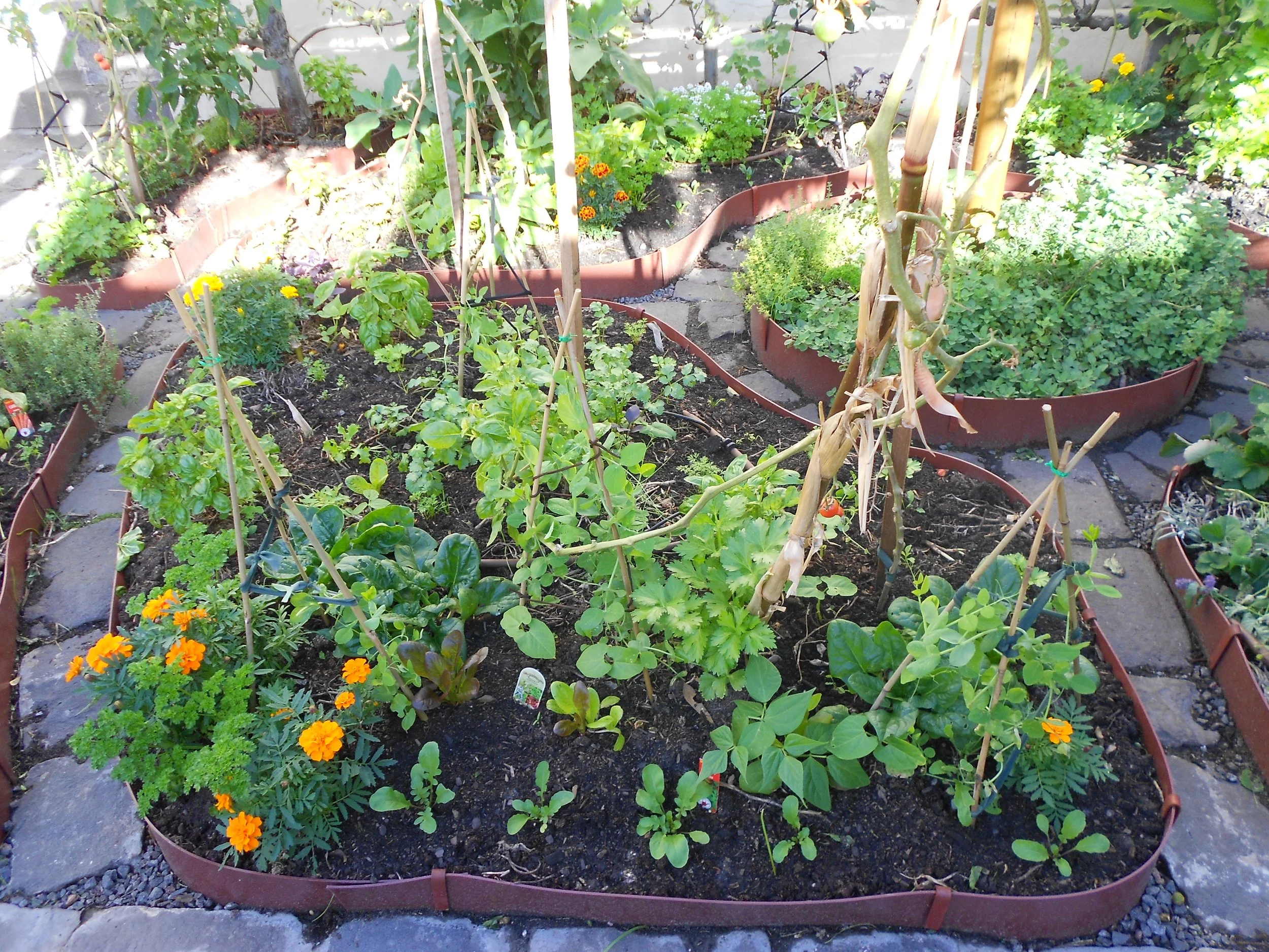 Albert Park Back (18).JPG