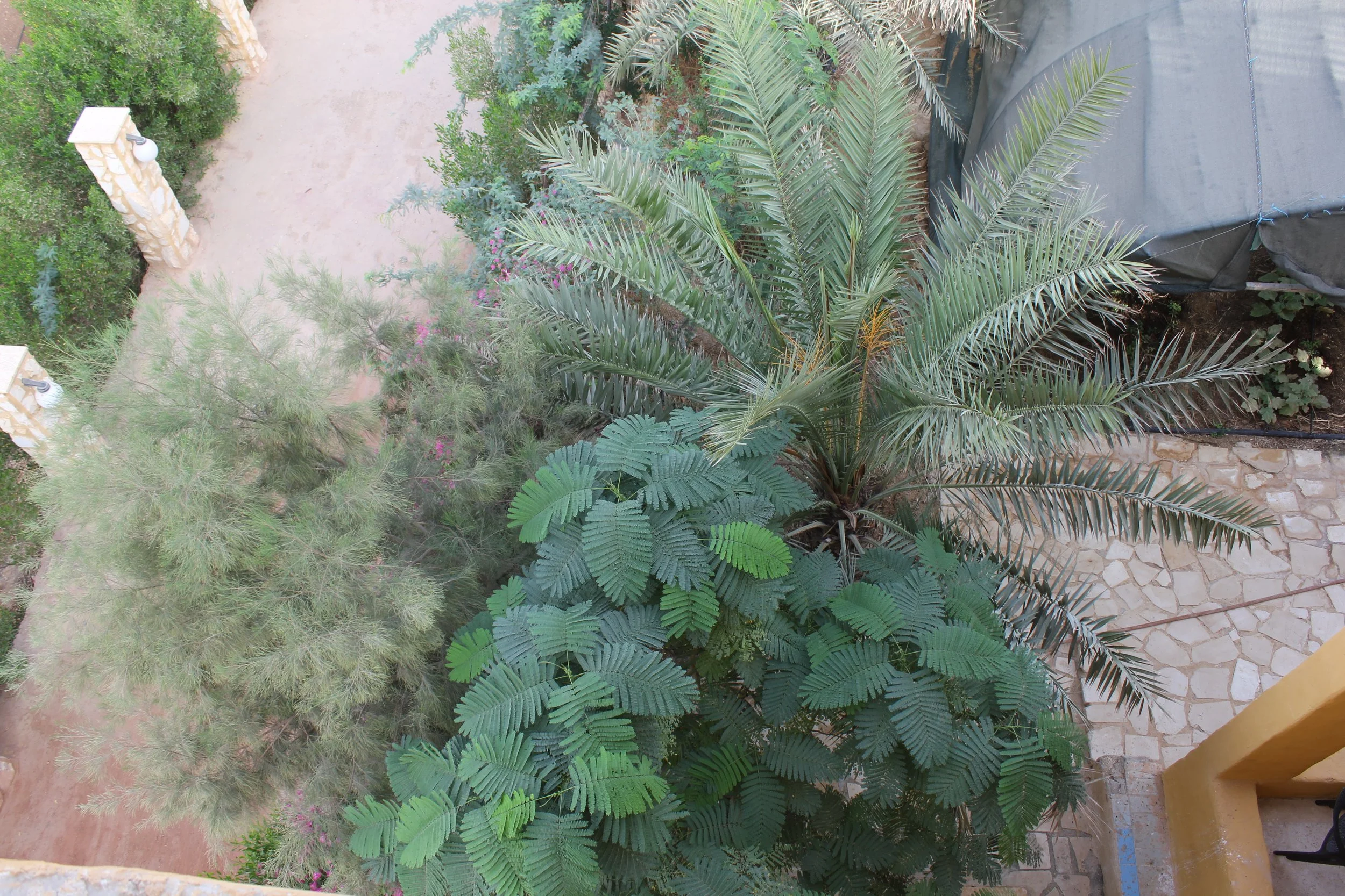 GTD Internship (12).JPG