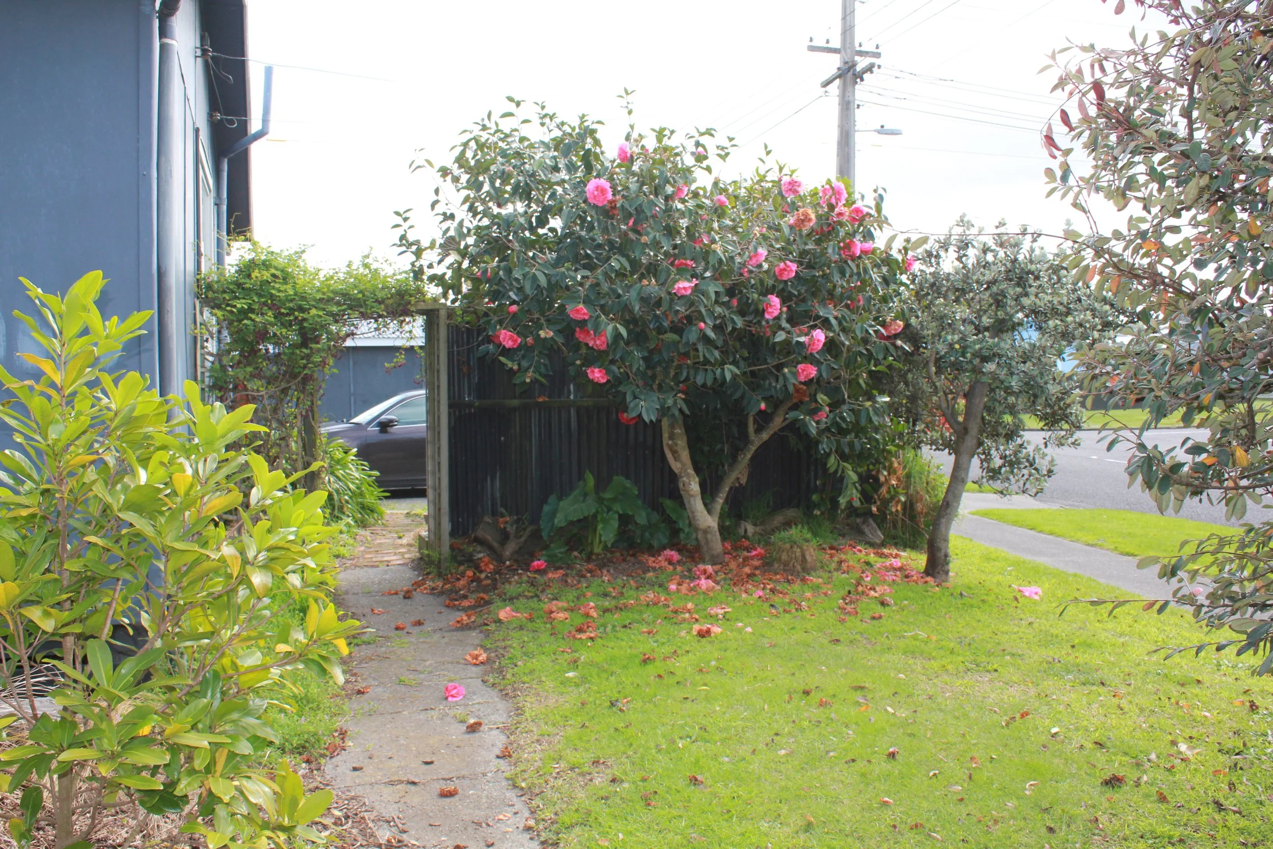 Cornfoot Before (2).JPG