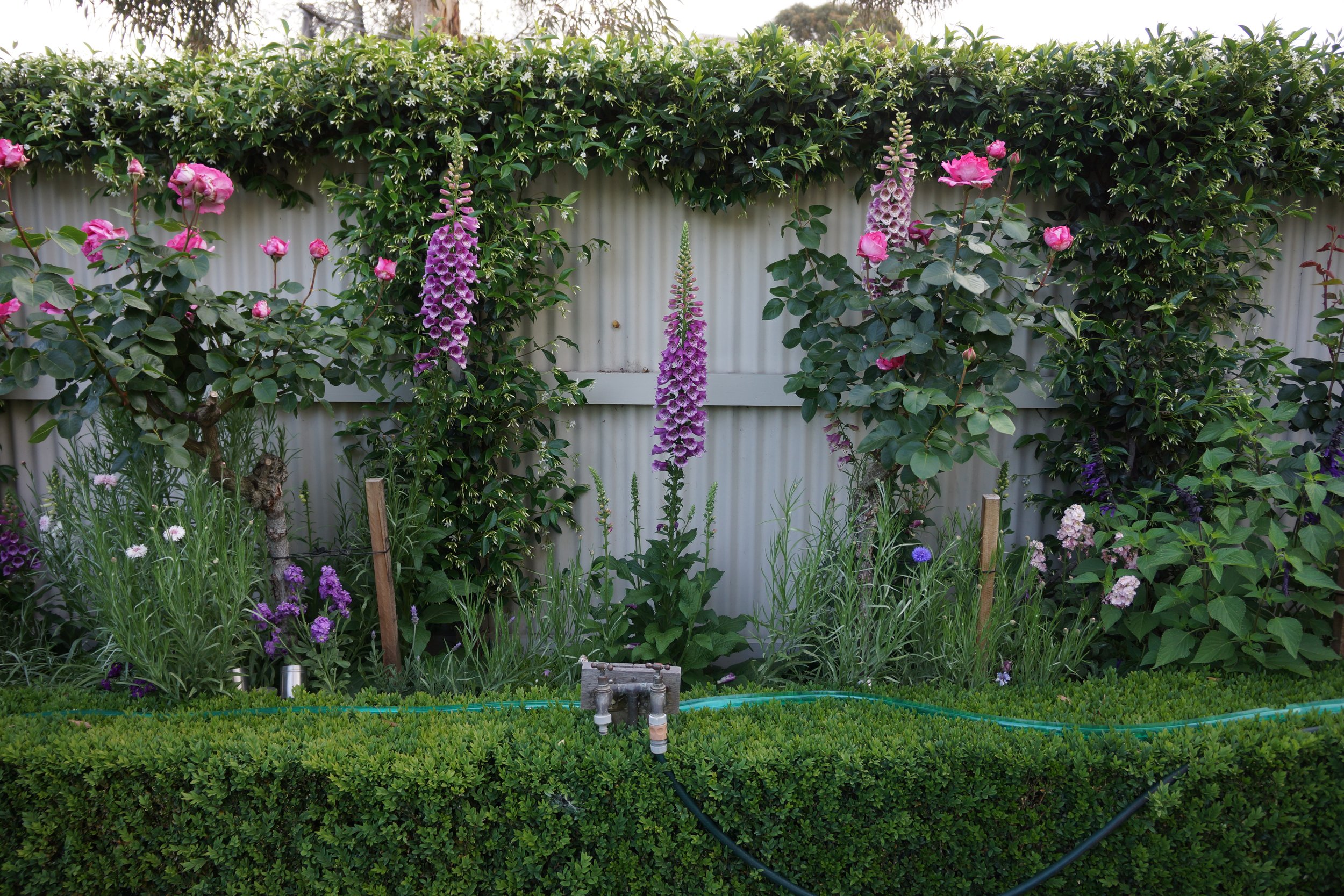 Albert Park Front (12).JPG