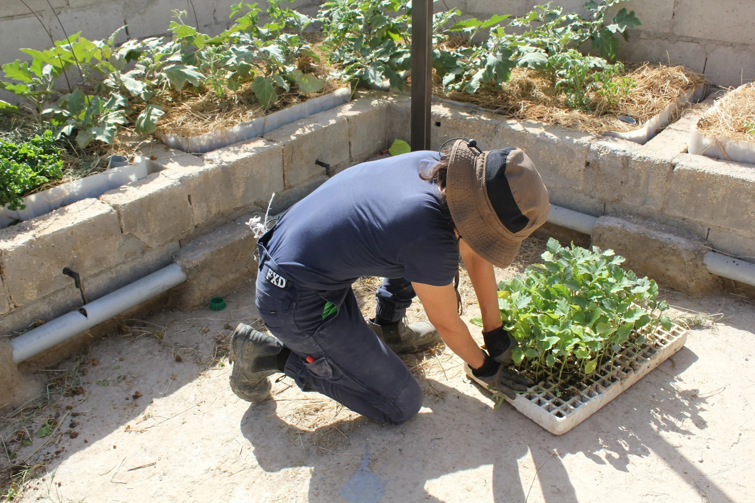 GTD Internship (28).JPG