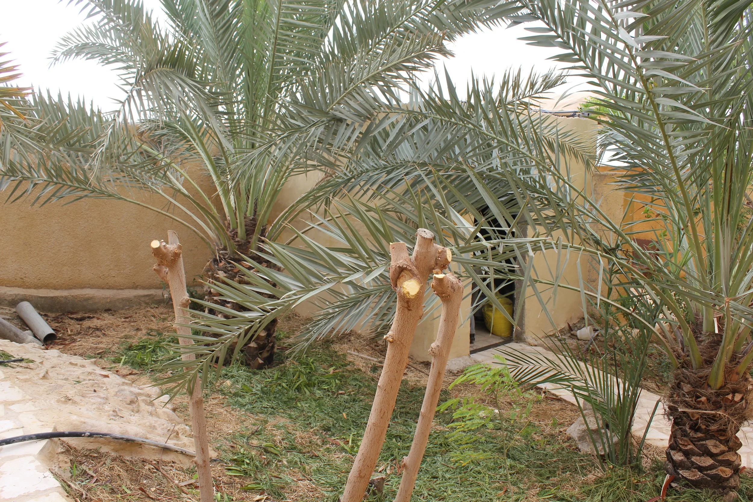 GTD Internship (17).JPG