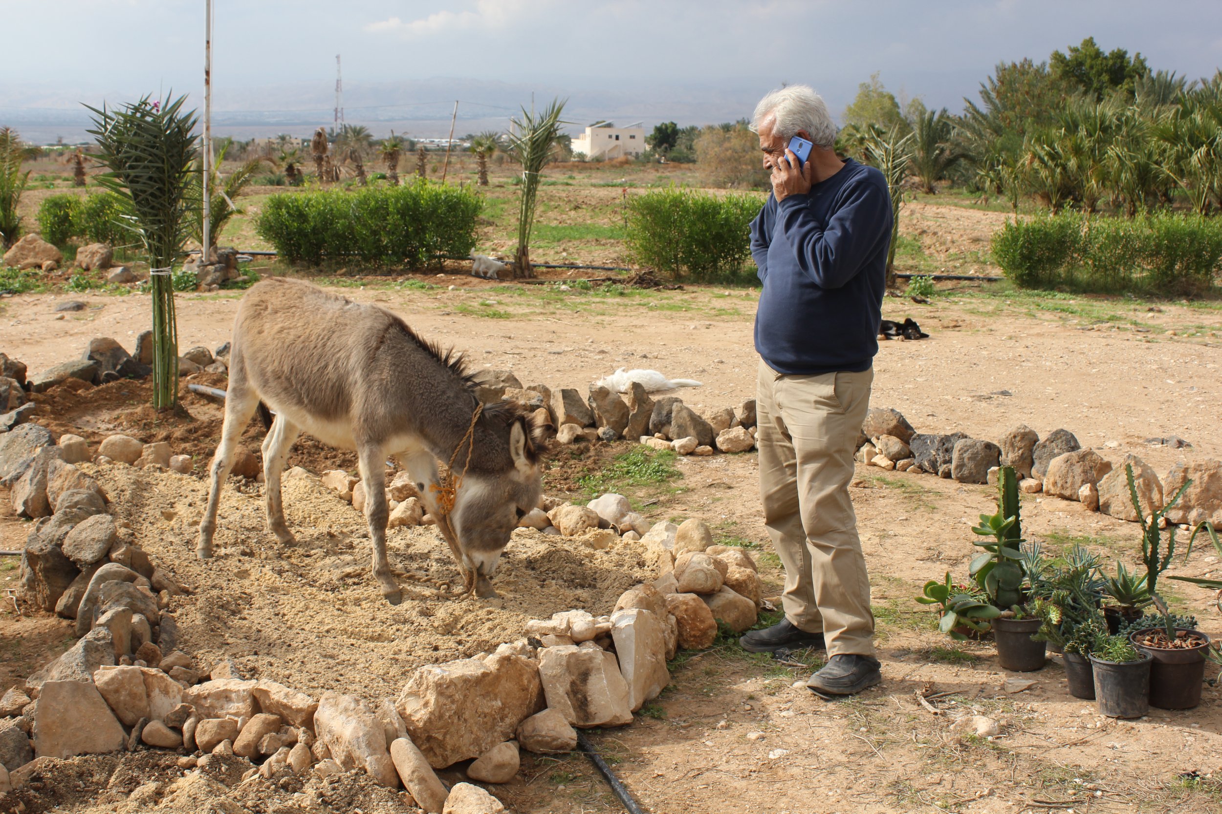 Peace Wadi (16).JPG
