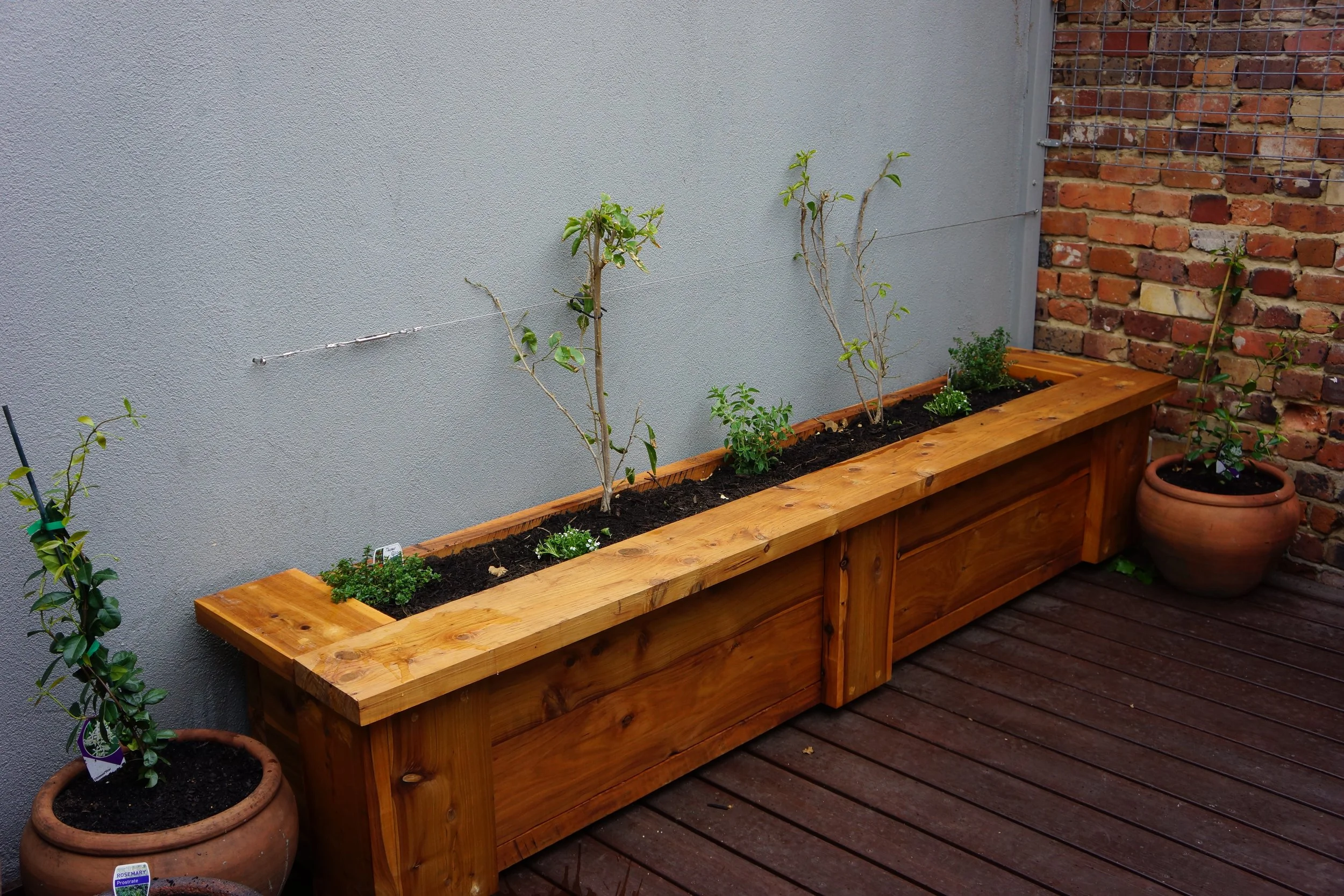 Small Courtyard Garden (6).JPG