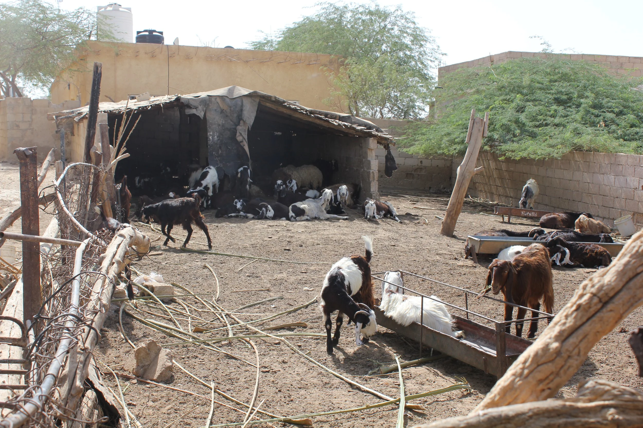 GTD Internship (14).JPG