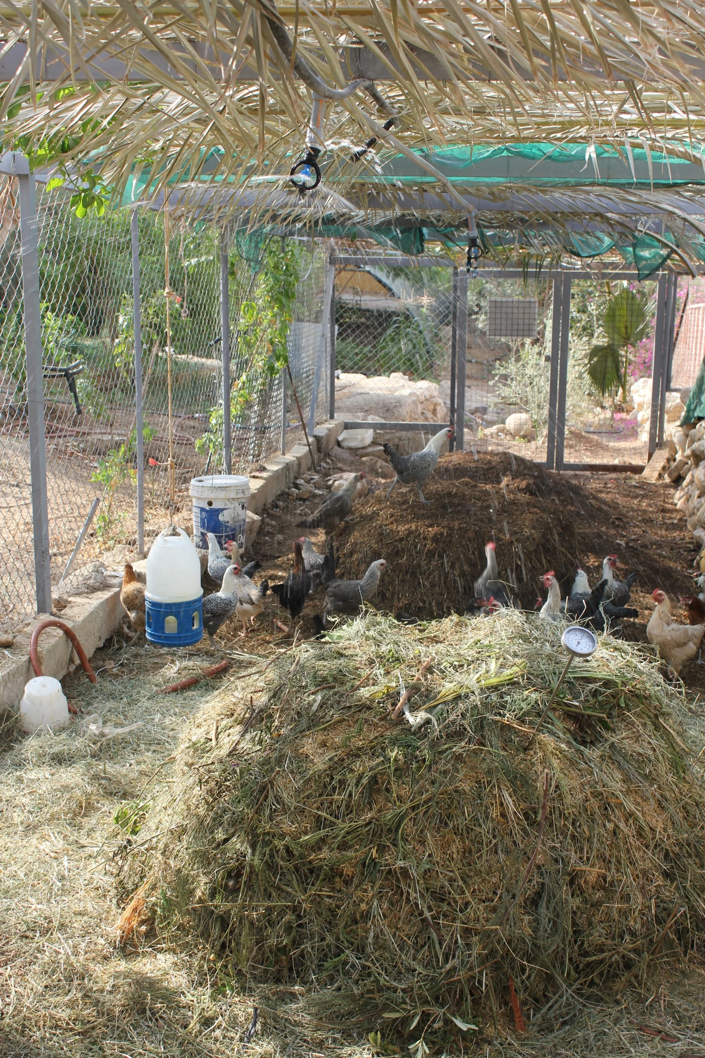 GTD Internship (4).JPG