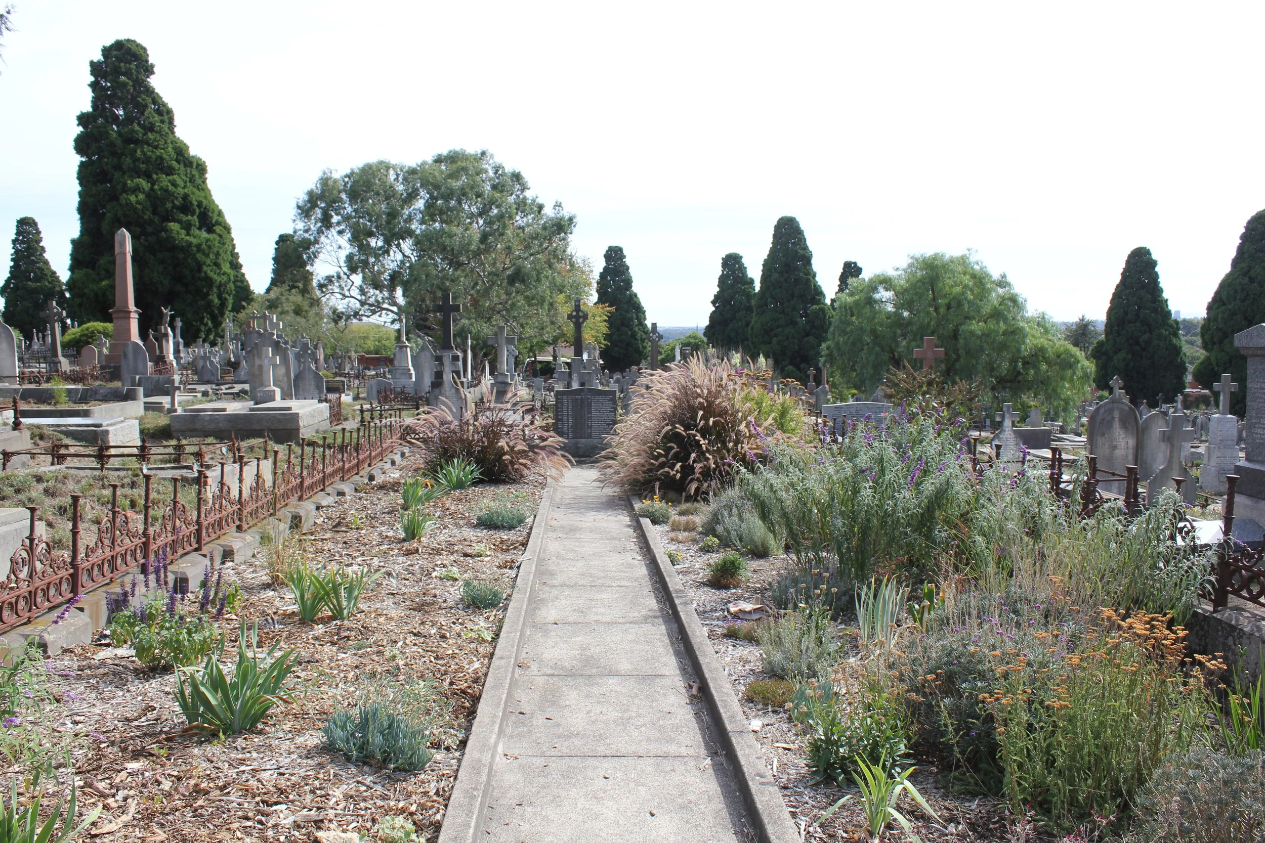 Sisters Project  (2).JPG