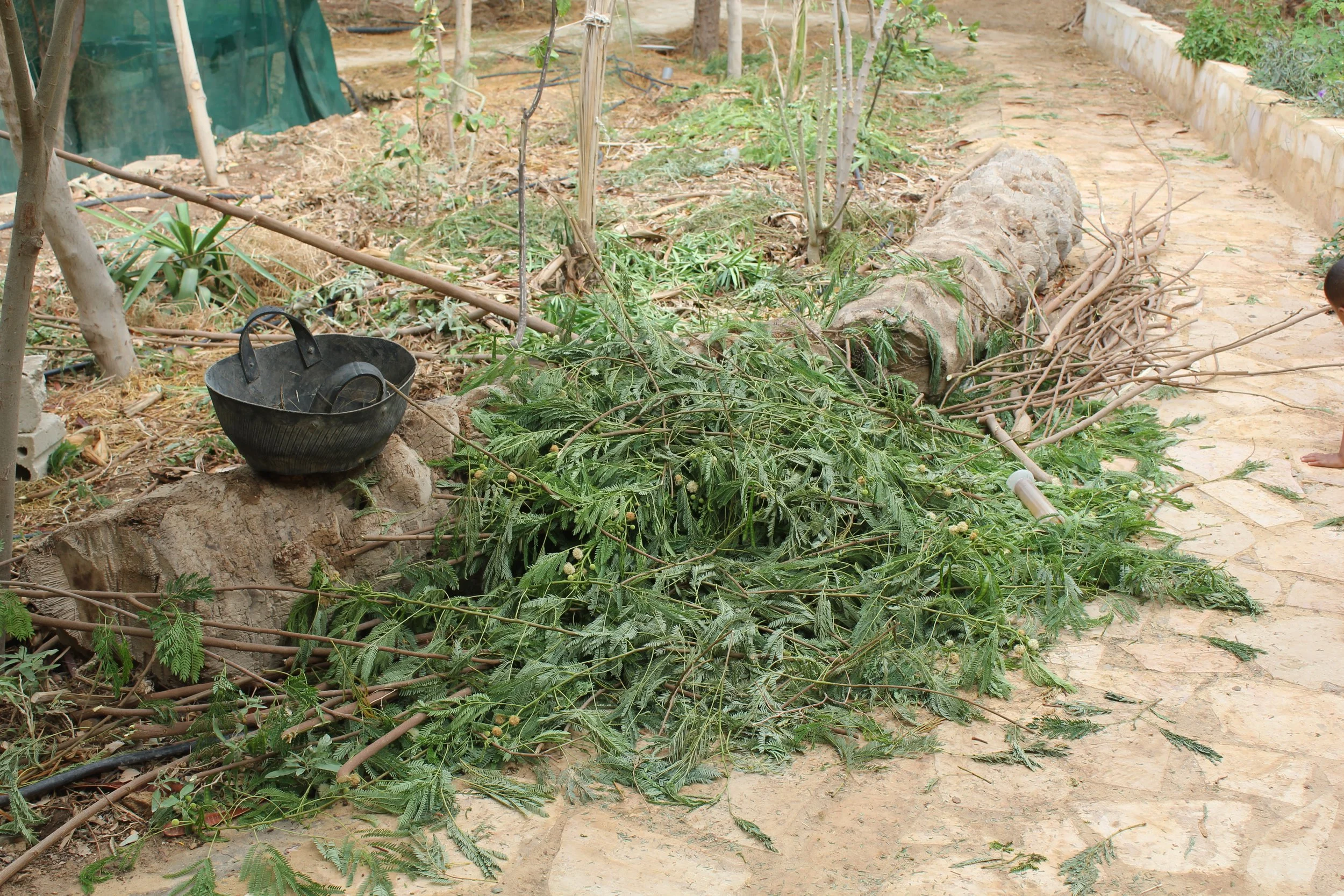 GTD Internship (16).JPG