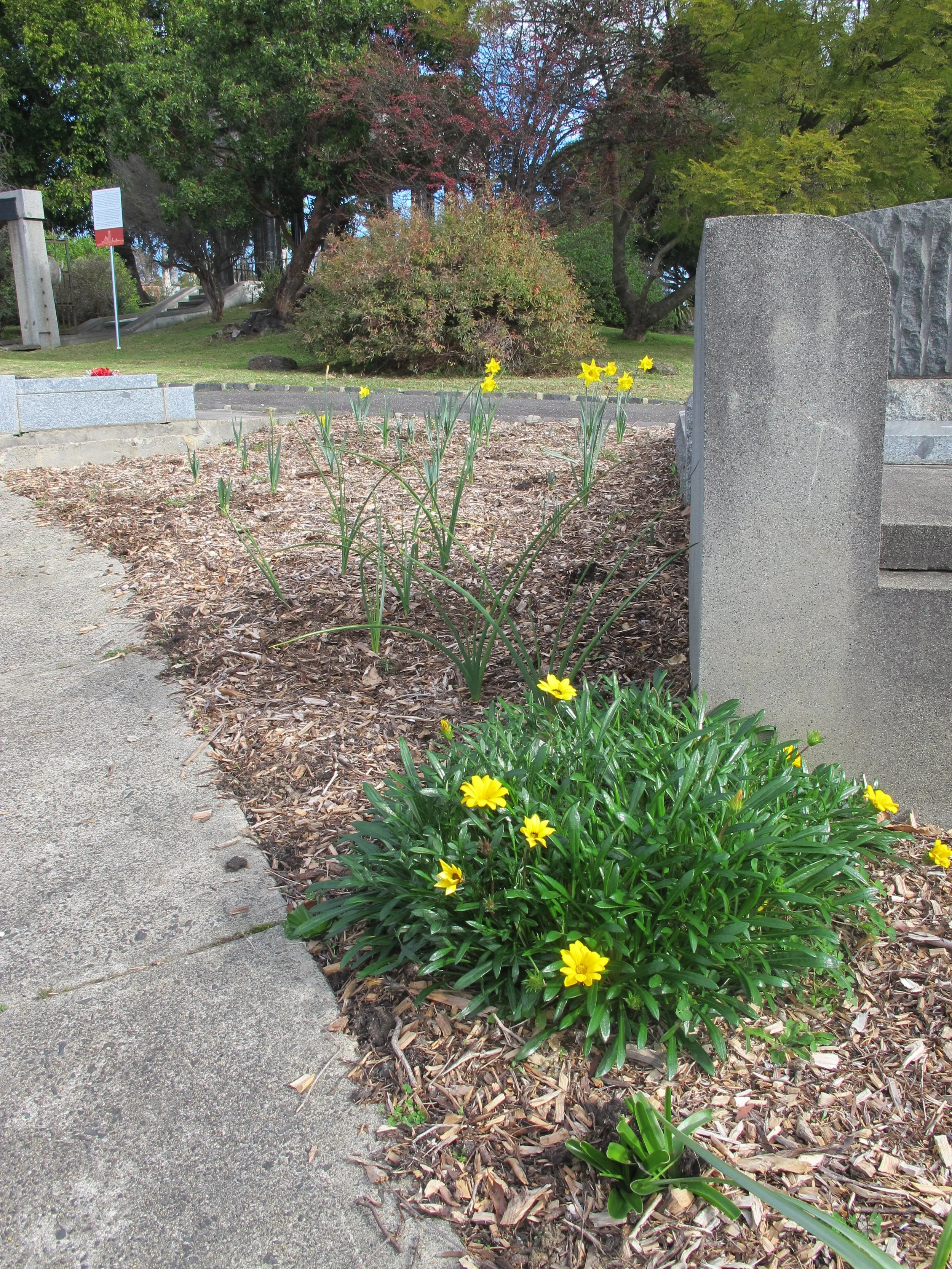 Kew Cemetery Horticulture (31).JPG