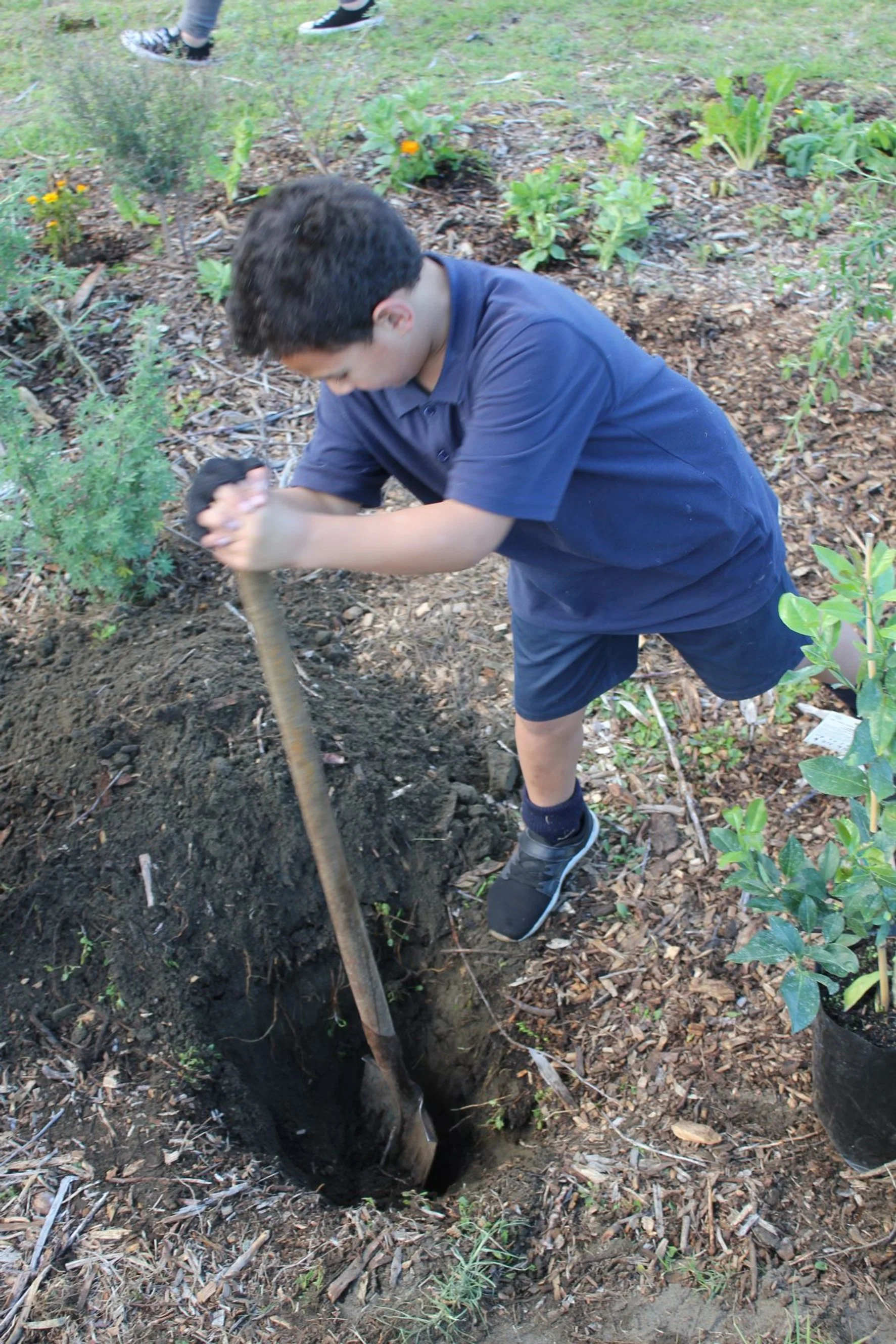 TKKM TPM Ngā Tangata (17).JPG