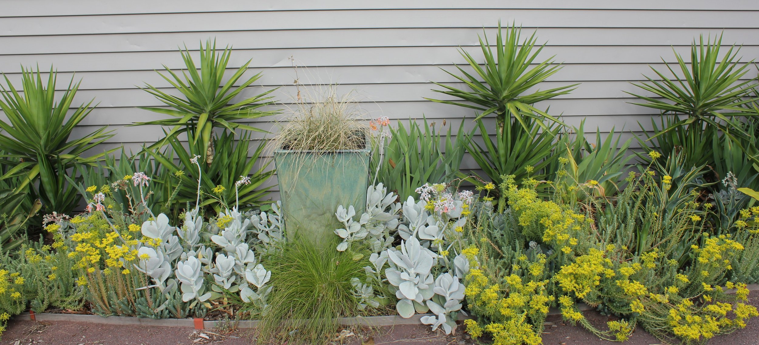 PVGC Succulent Garden (8).JPG