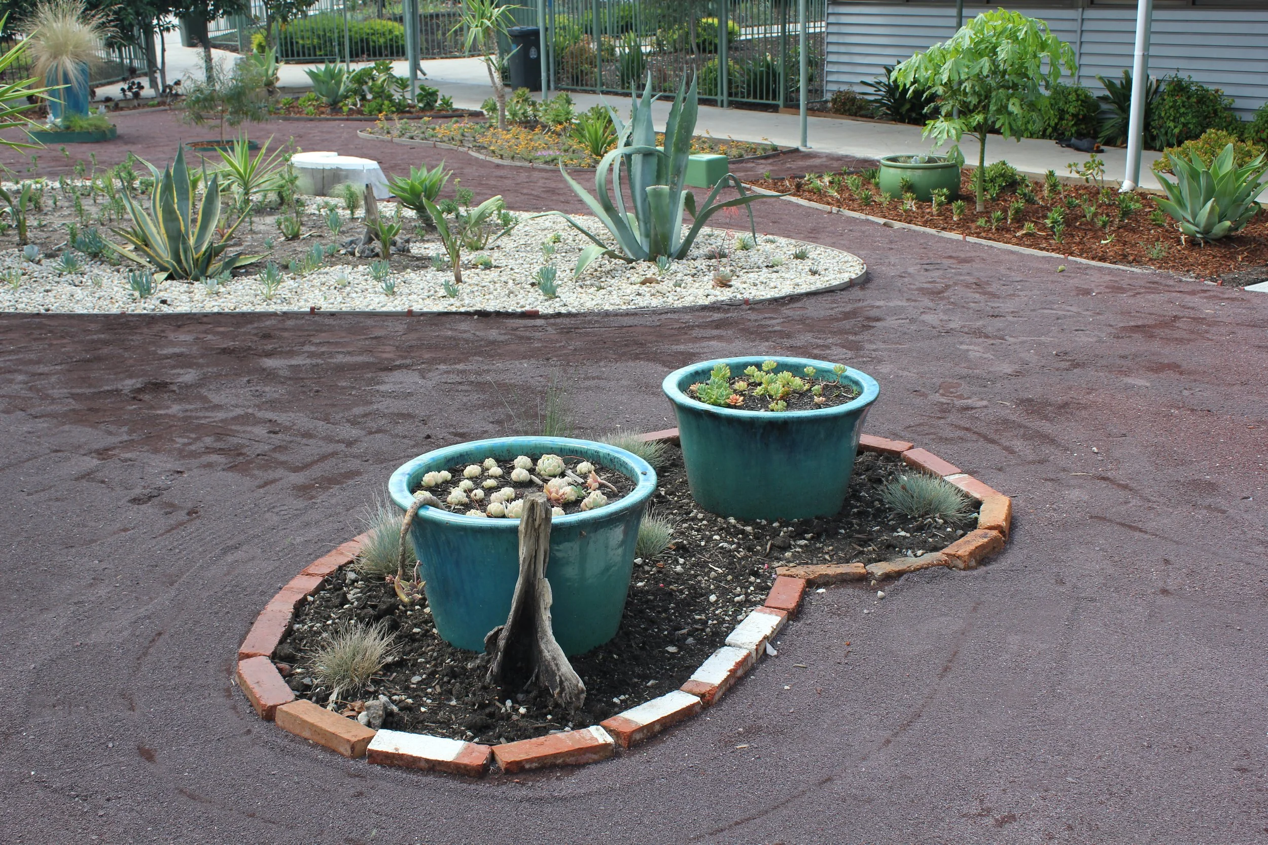 PVGC Succulent Garden (21).JPG