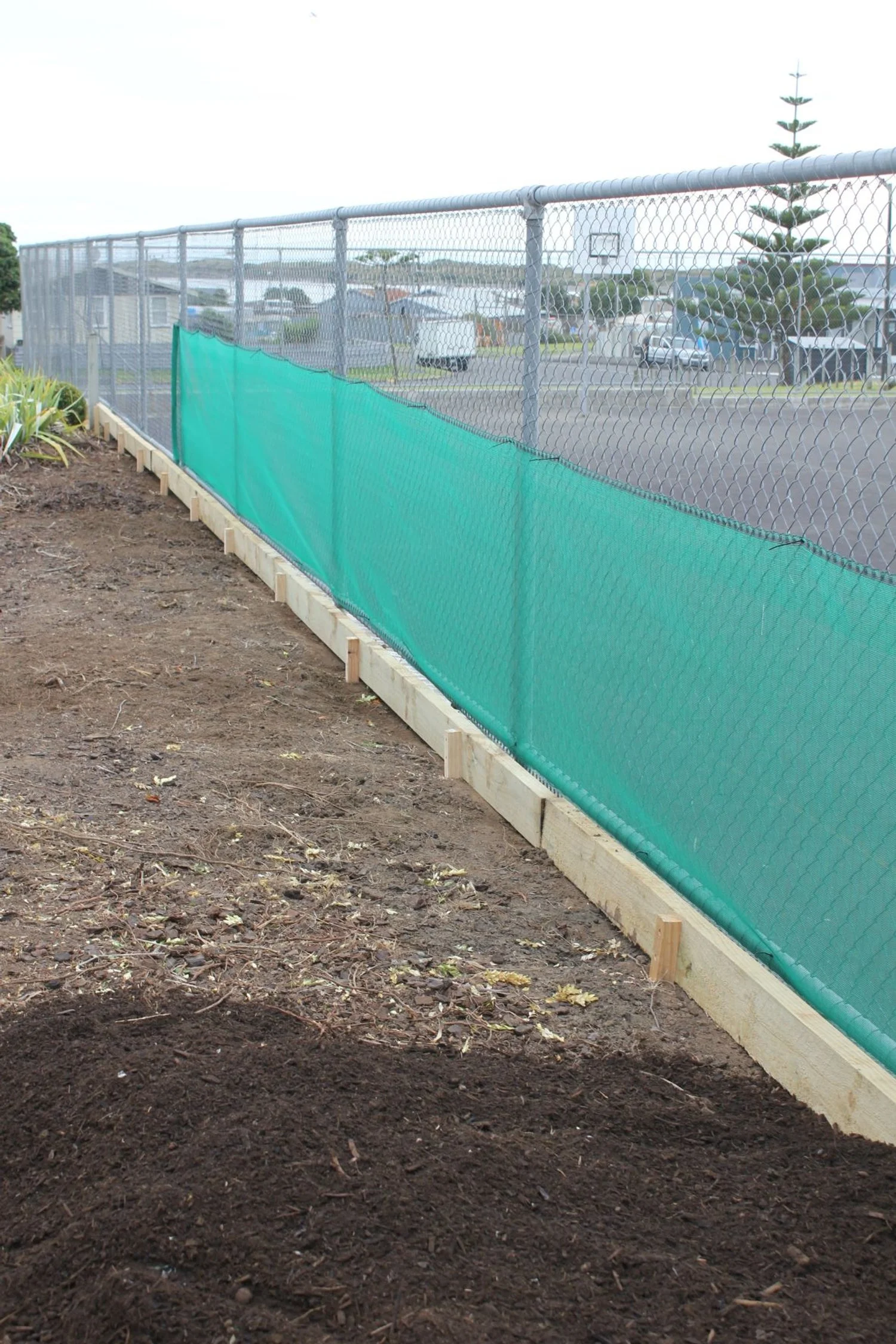 TKKM Matariki (10).JPG