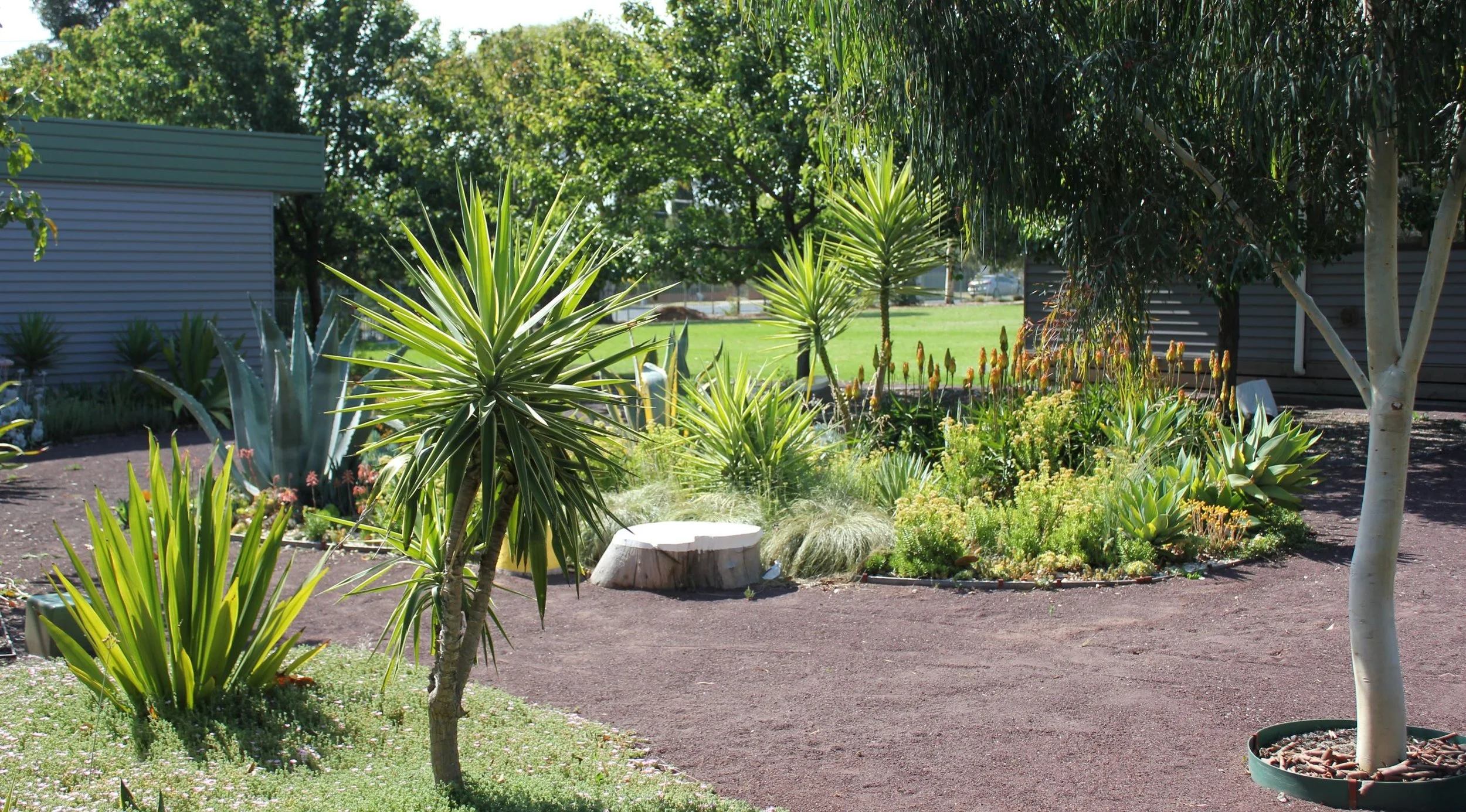 PVGC Succulent Garden (39).JPG