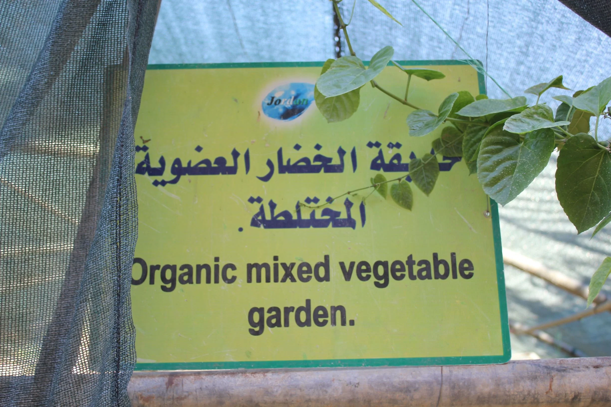 GTD Internship (22).JPG