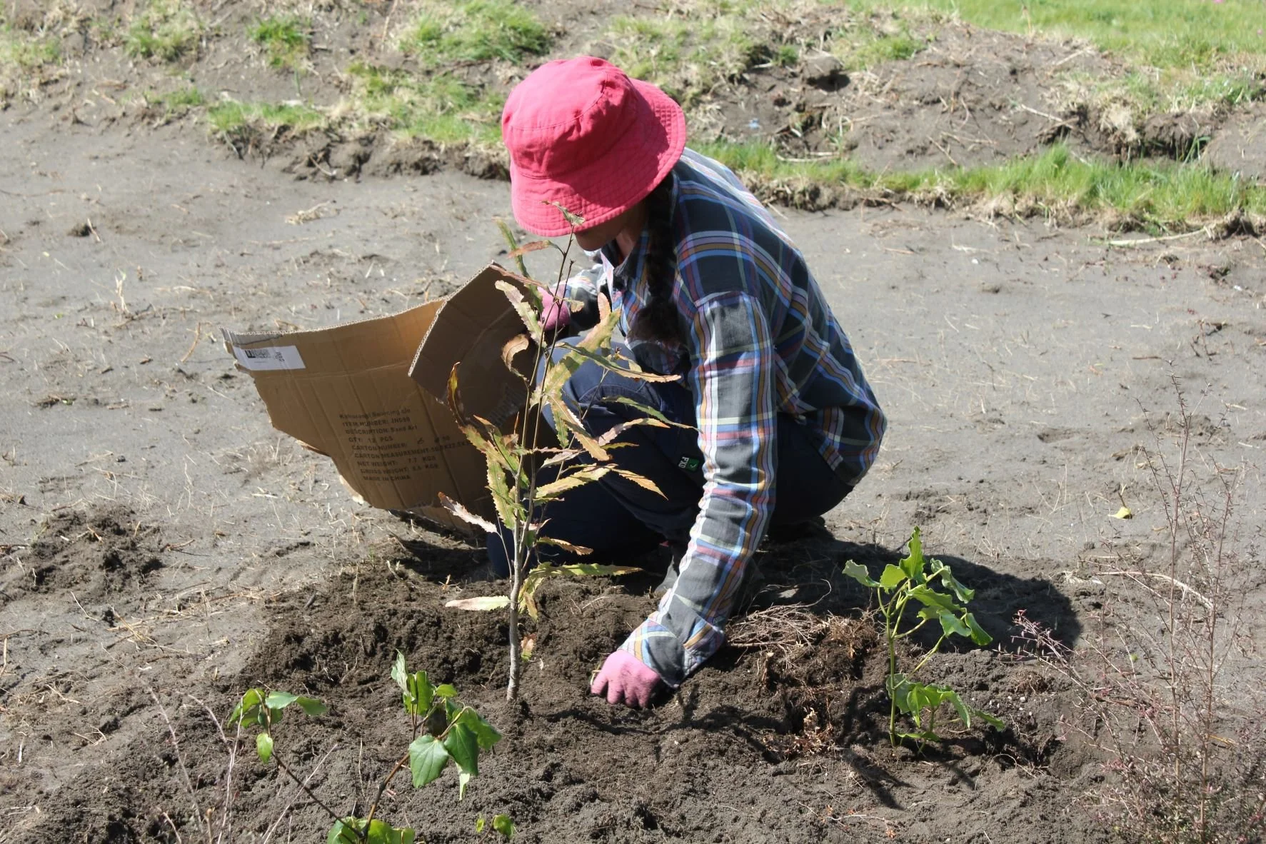 TKKM TPM Planting Day (12).JPG
