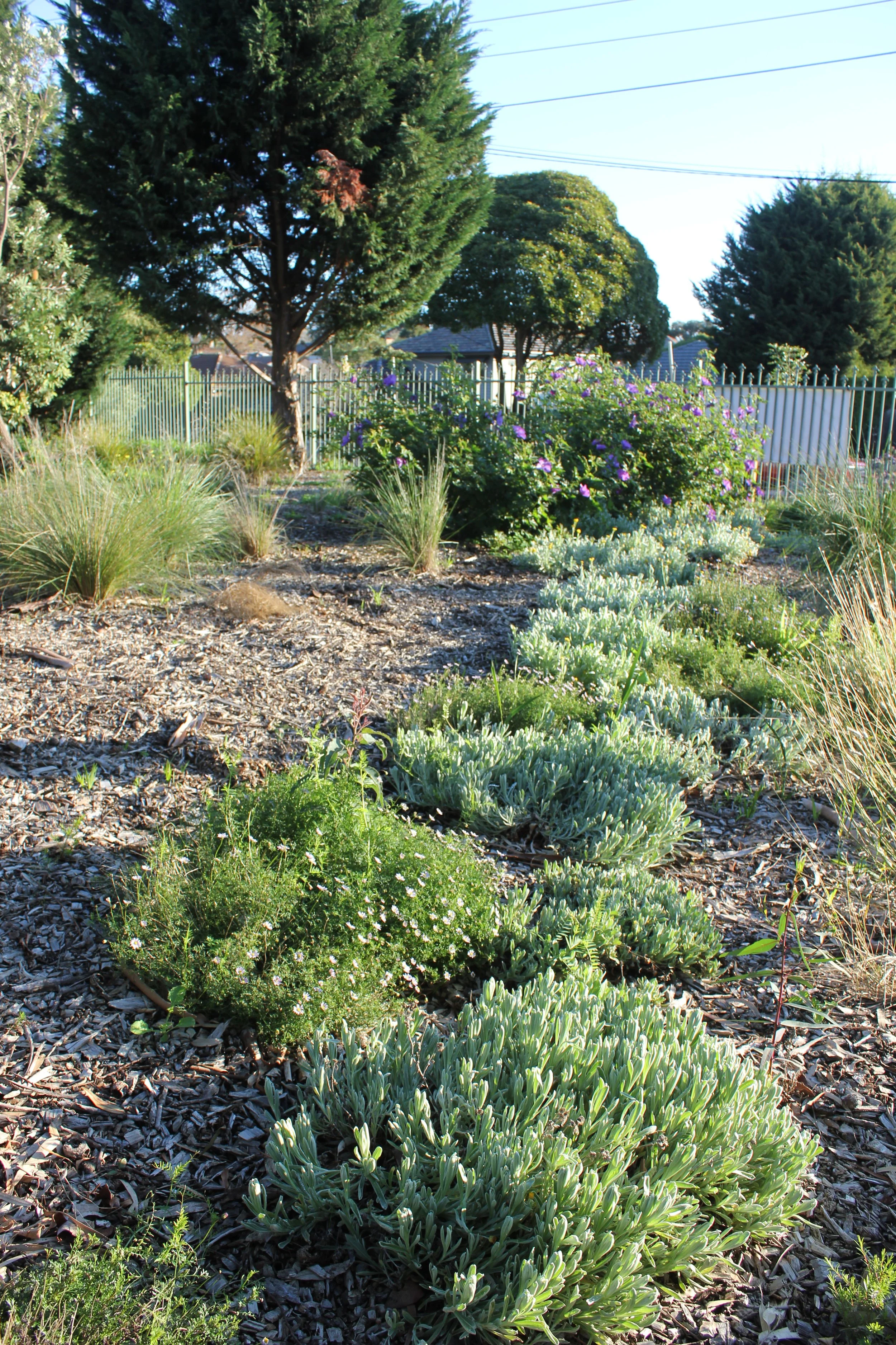 VGC Carpark Entrance (87).JPG