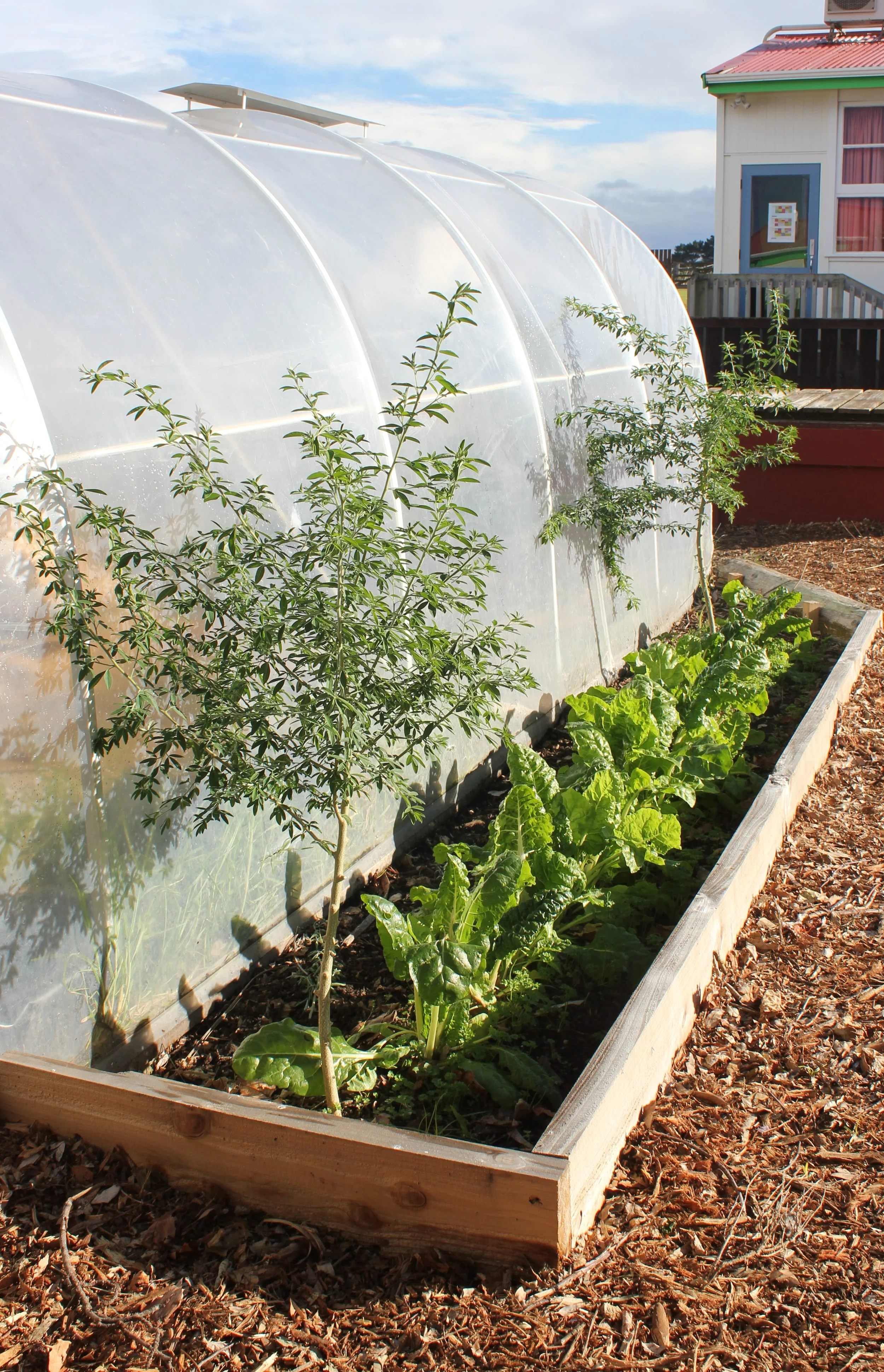 TKKM Māra Kai (43).JPG