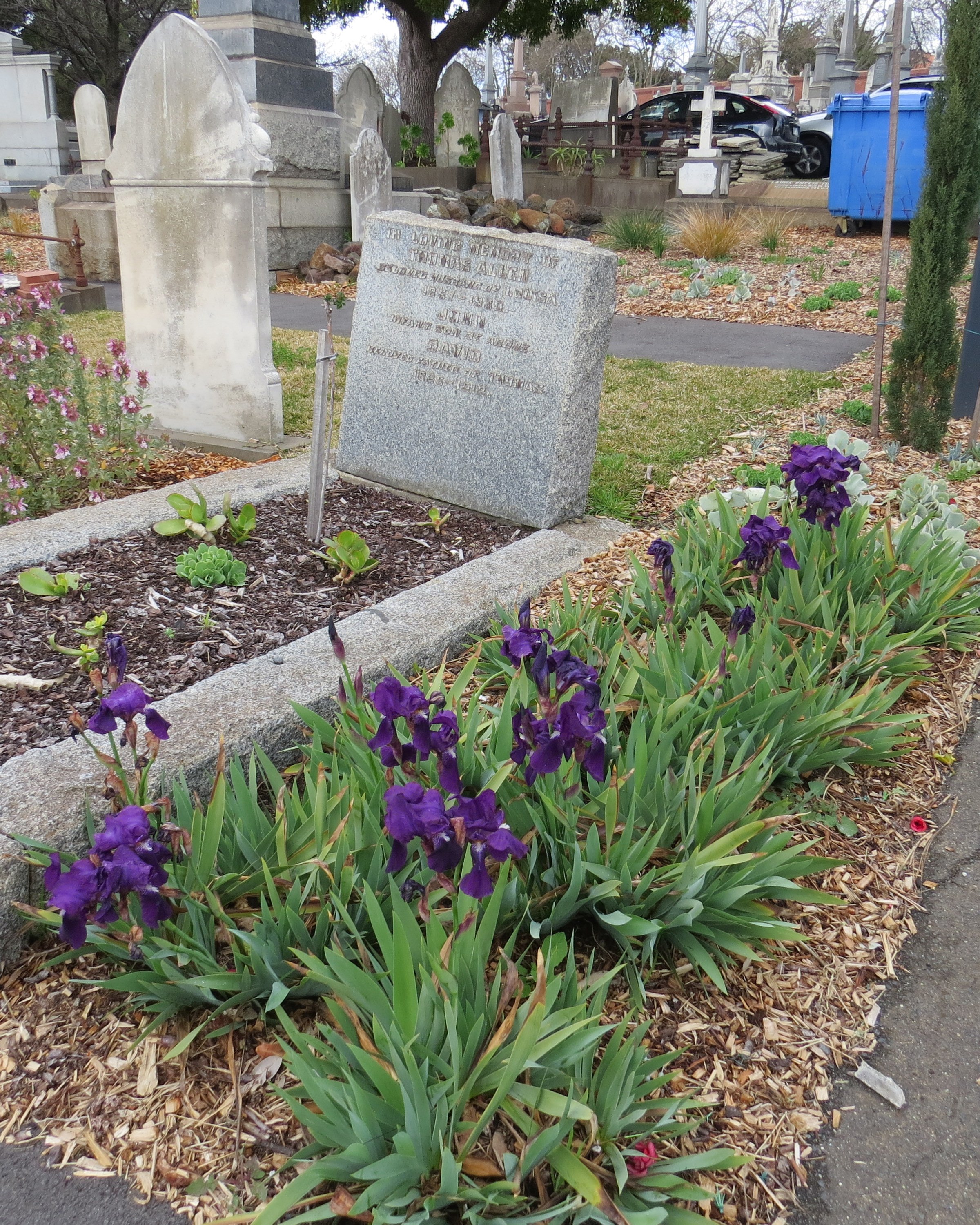 Kew Cemetery Horticulture (16).JPG