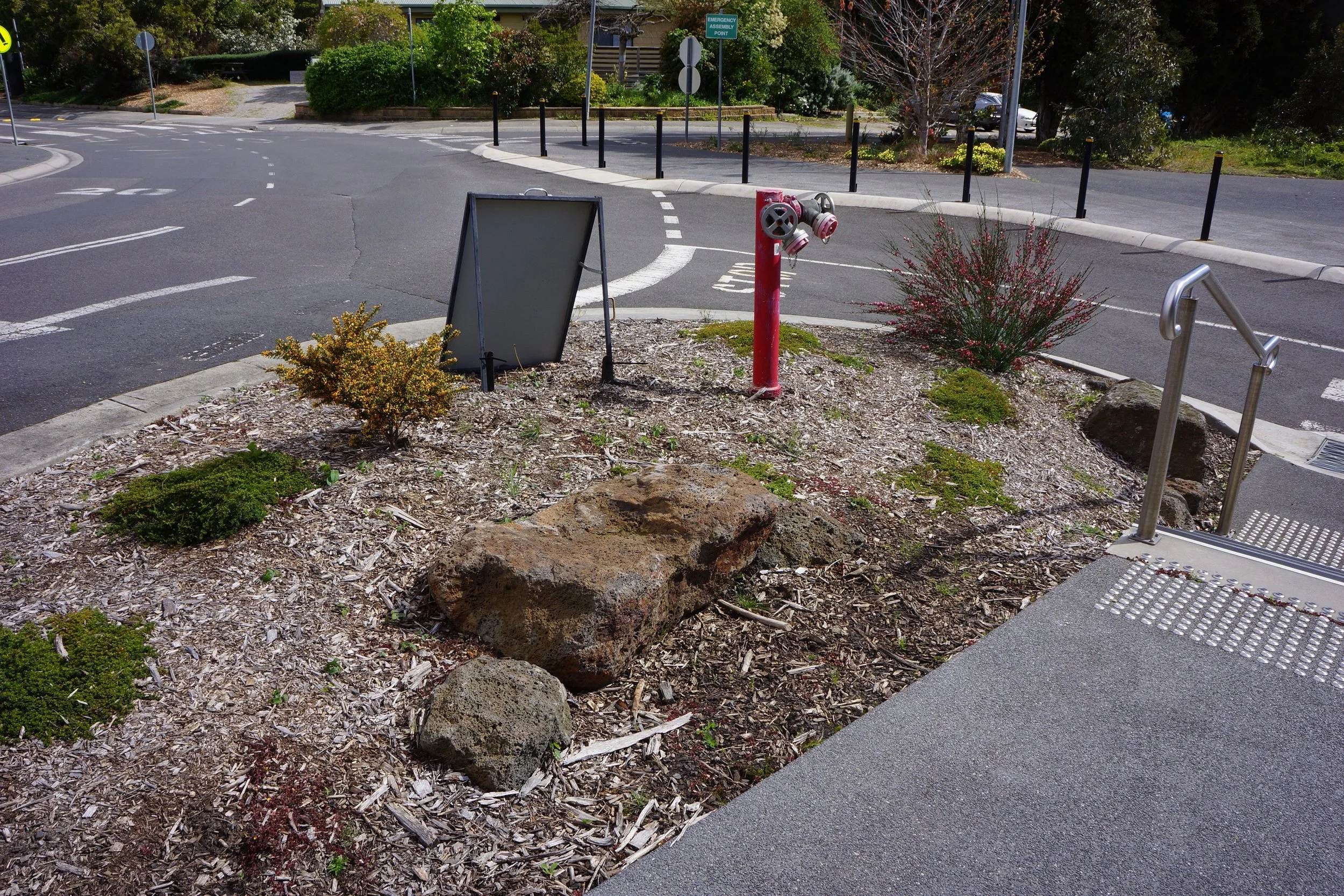 Holmesglen Garden (26).JPG