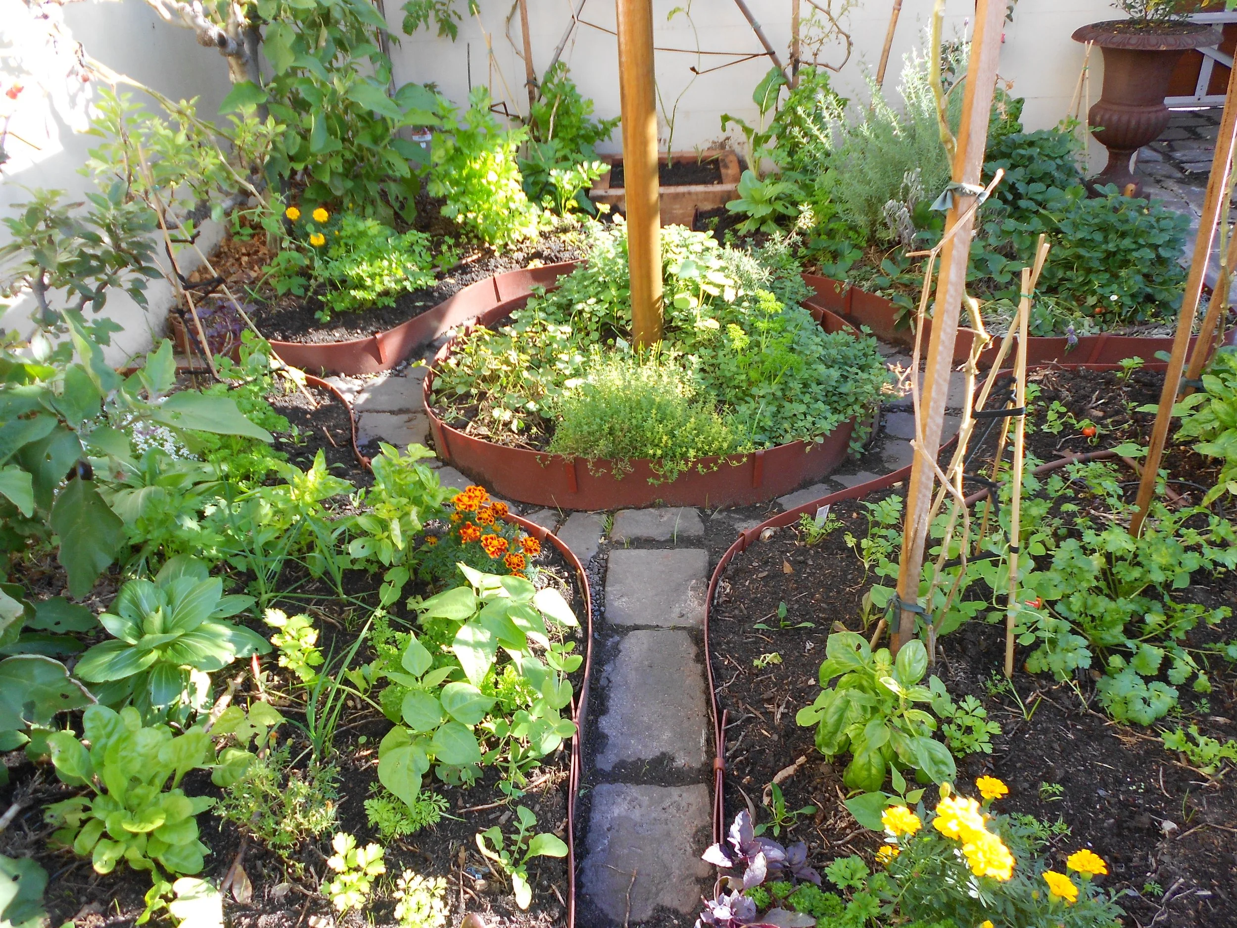 Albert Park Back (19).JPG