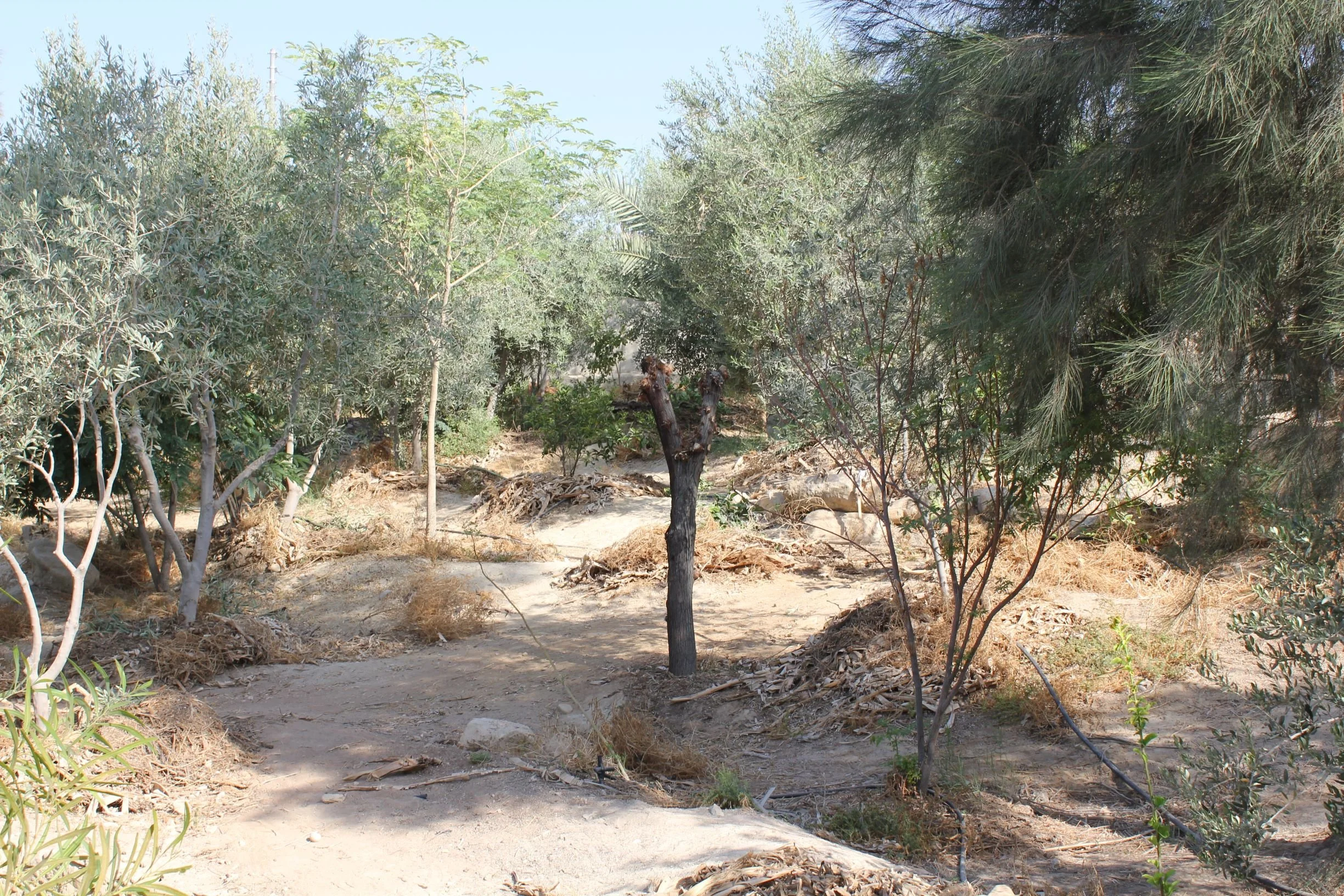 GTD Internship (5).JPG