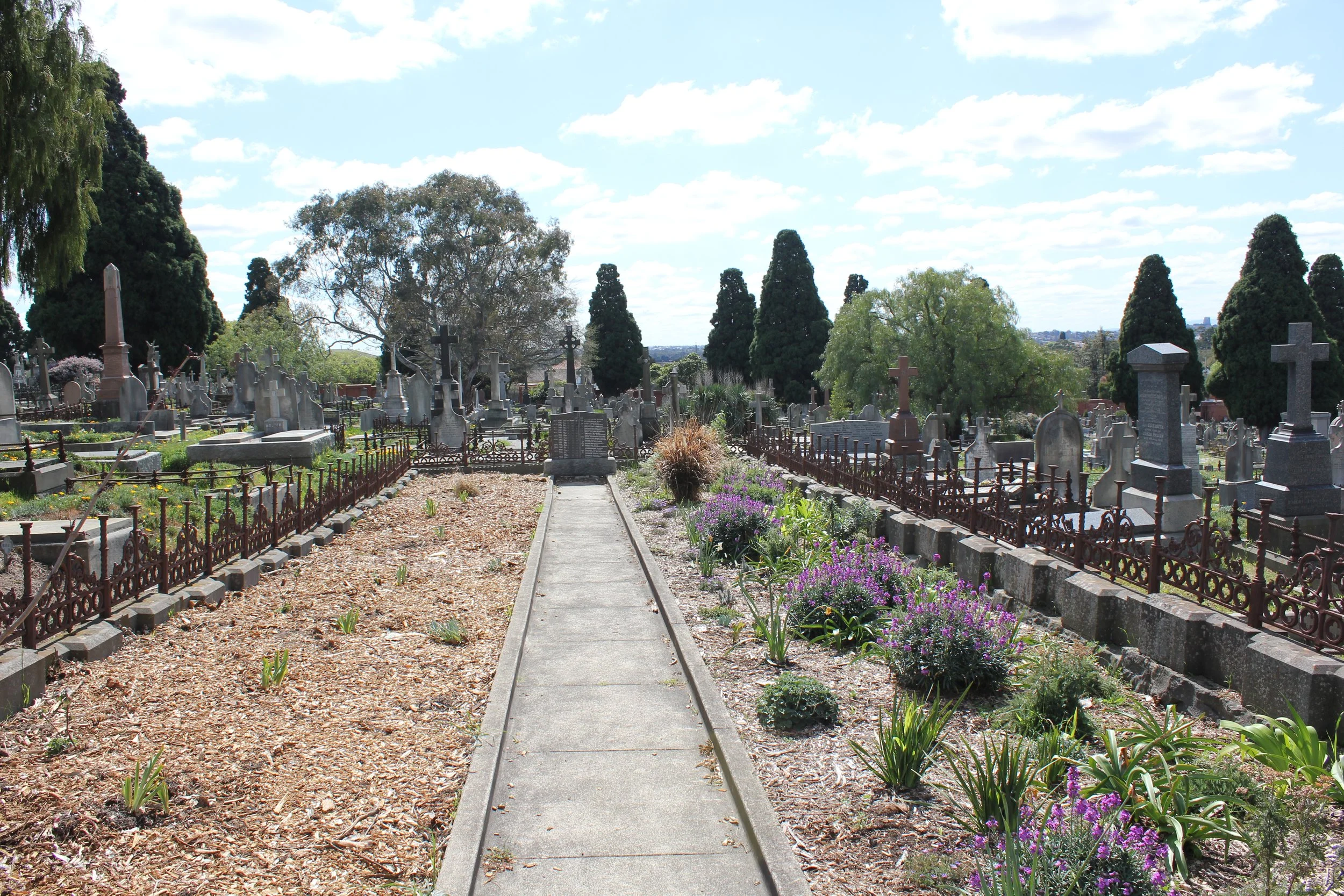 Sisters Project  (9).JPG