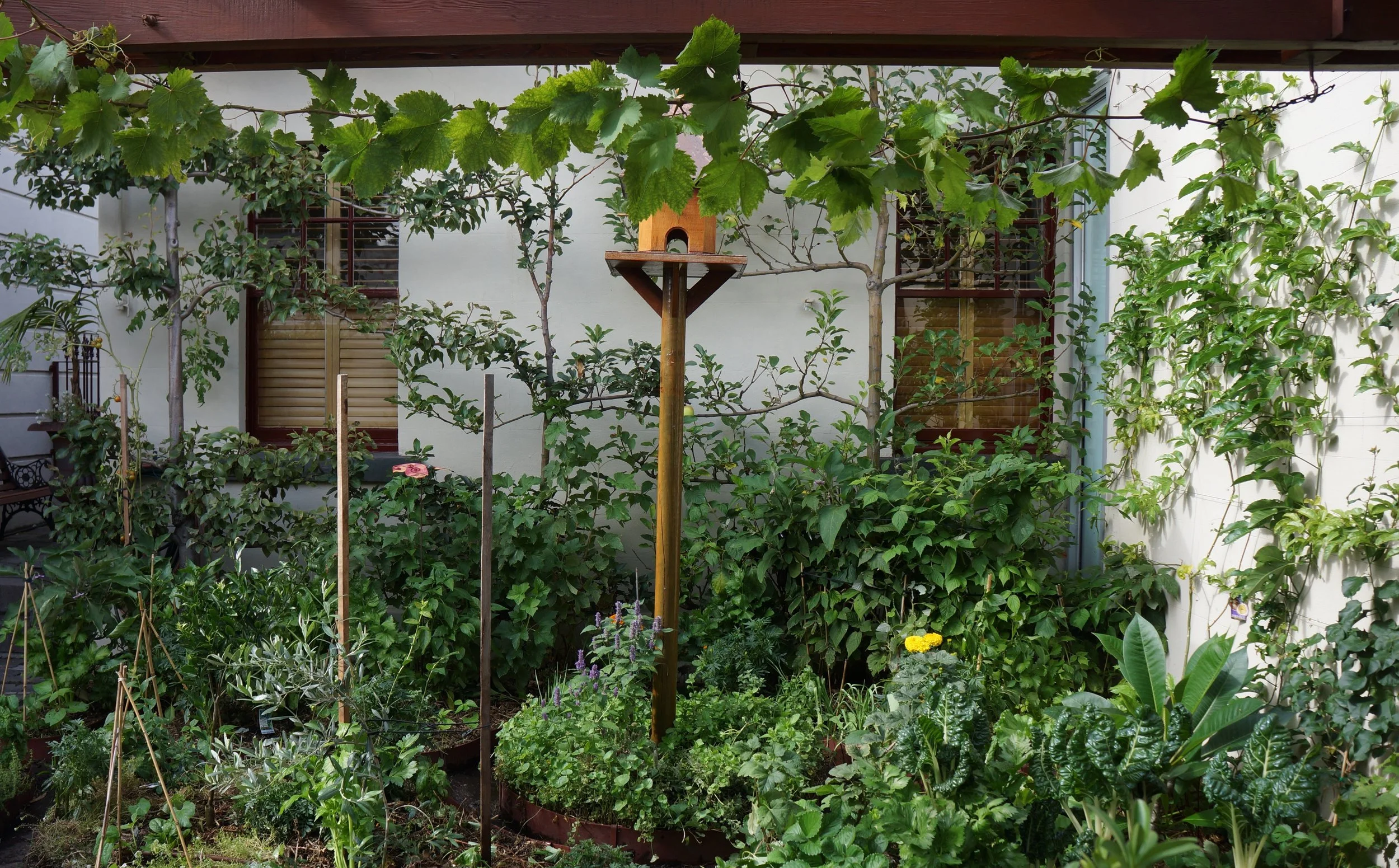 Albert Park Back (13).JPG