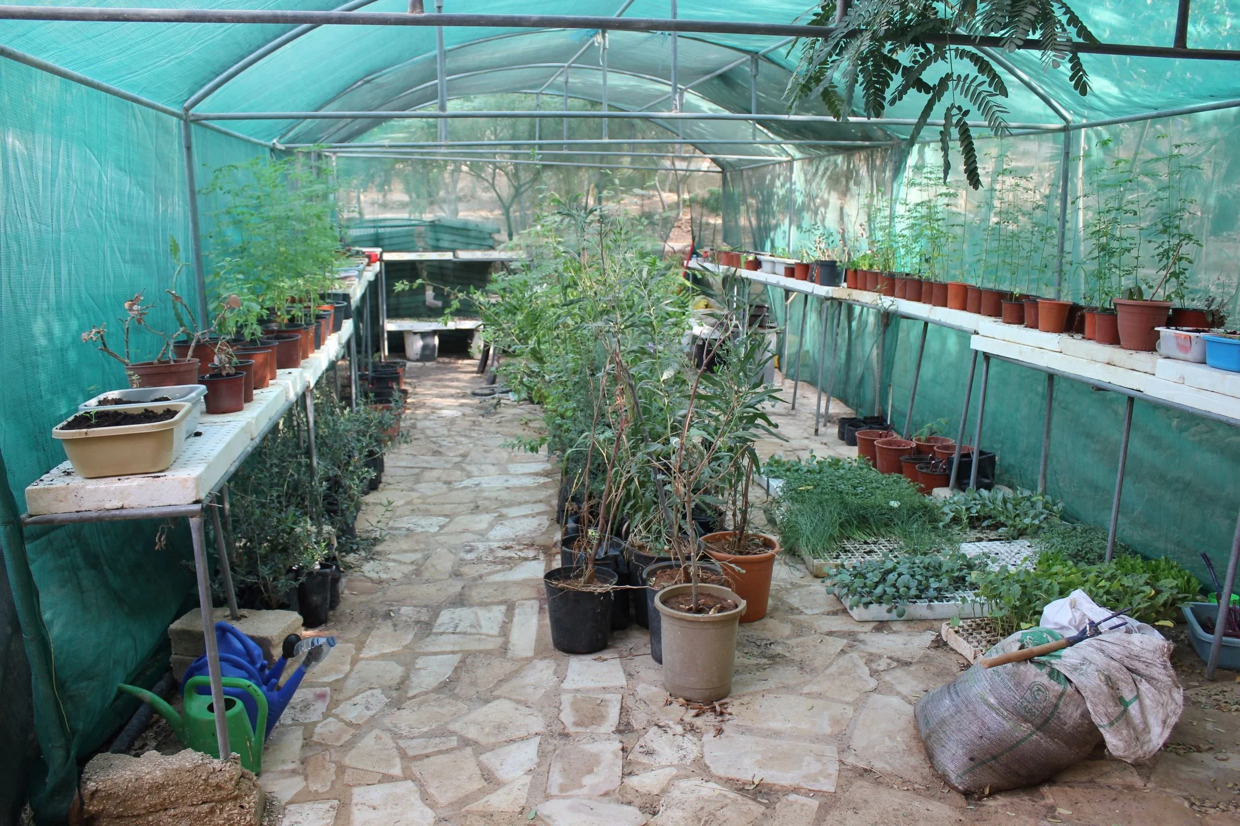 GTD Internship (21).JPG