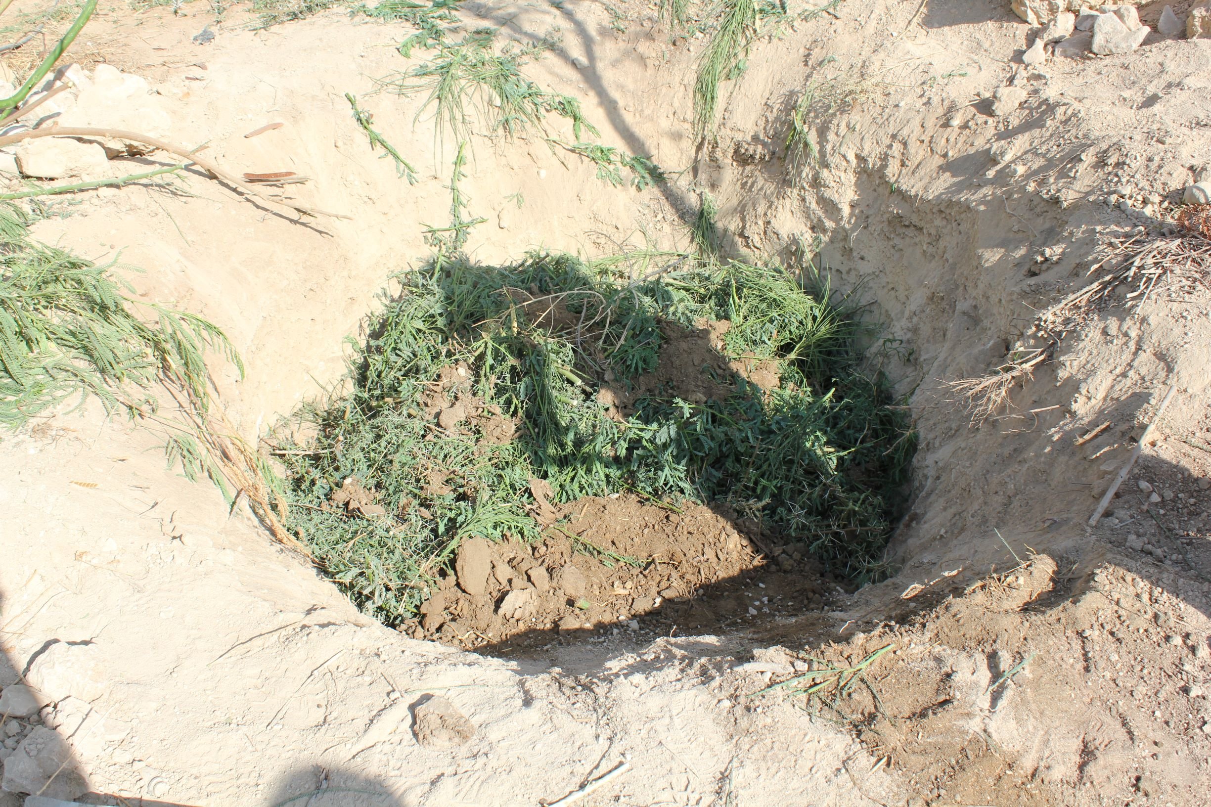 GTD Internship (31).JPG