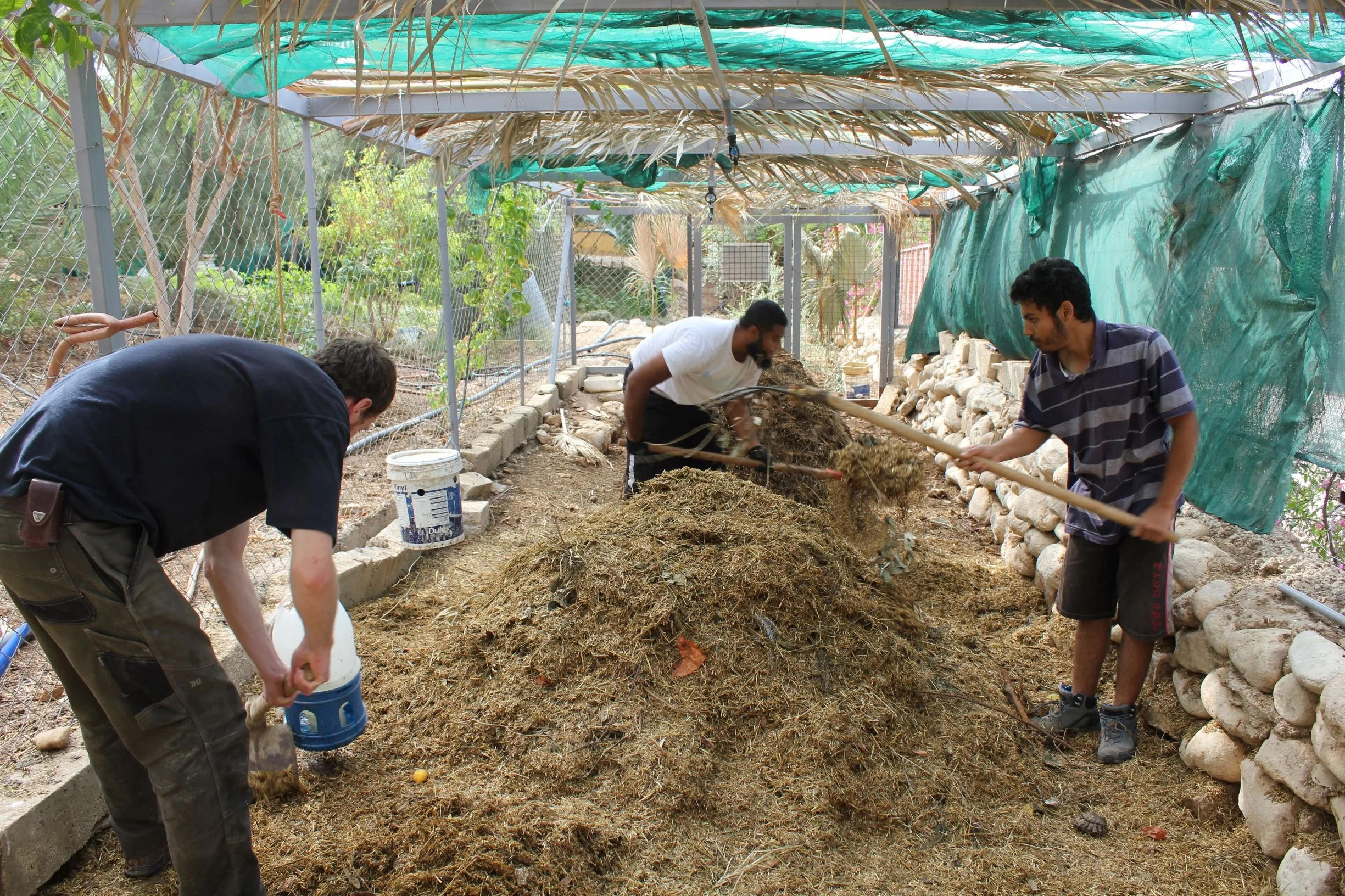 GTD Internship (3).JPG