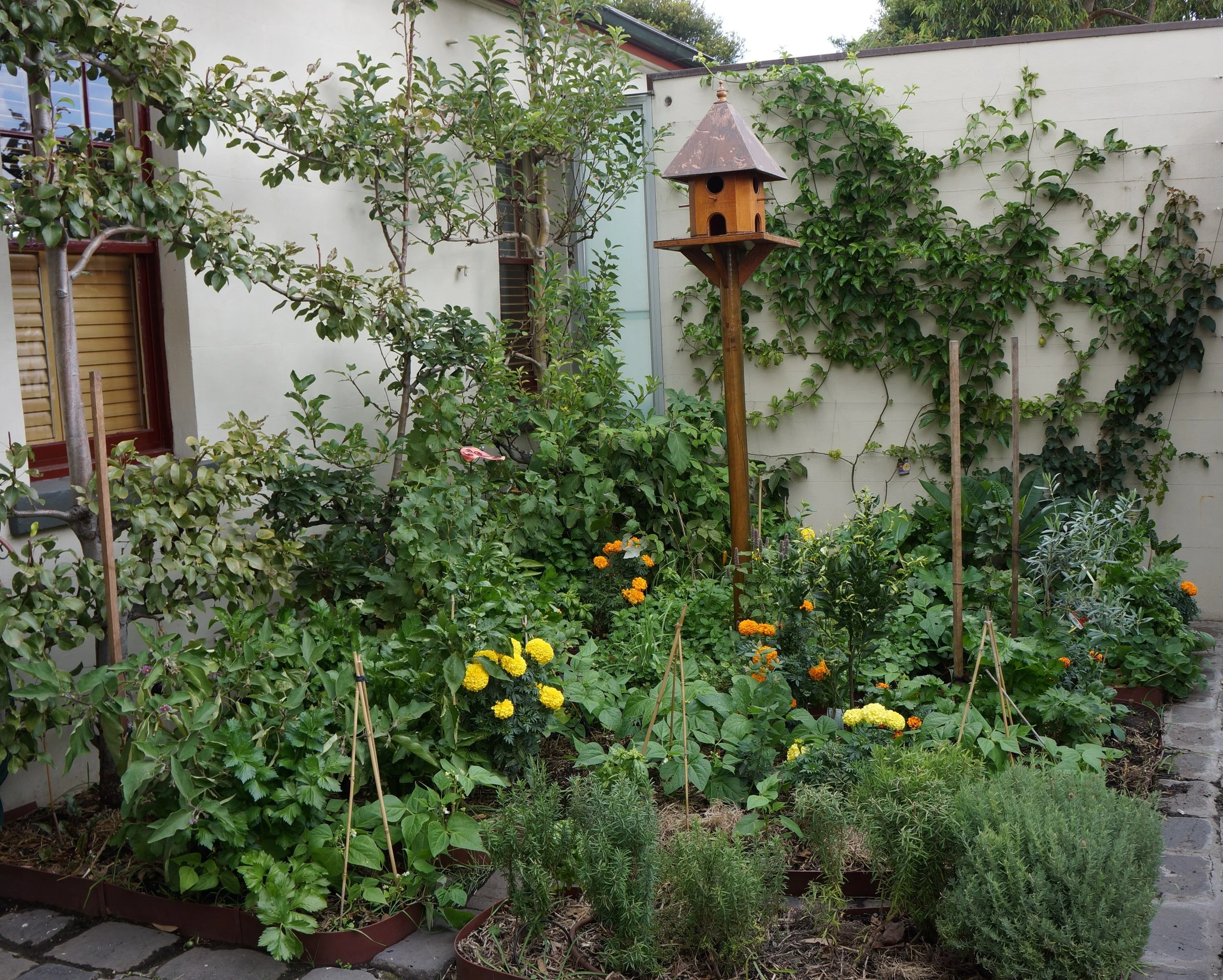 Albert Park Back (14).JPG