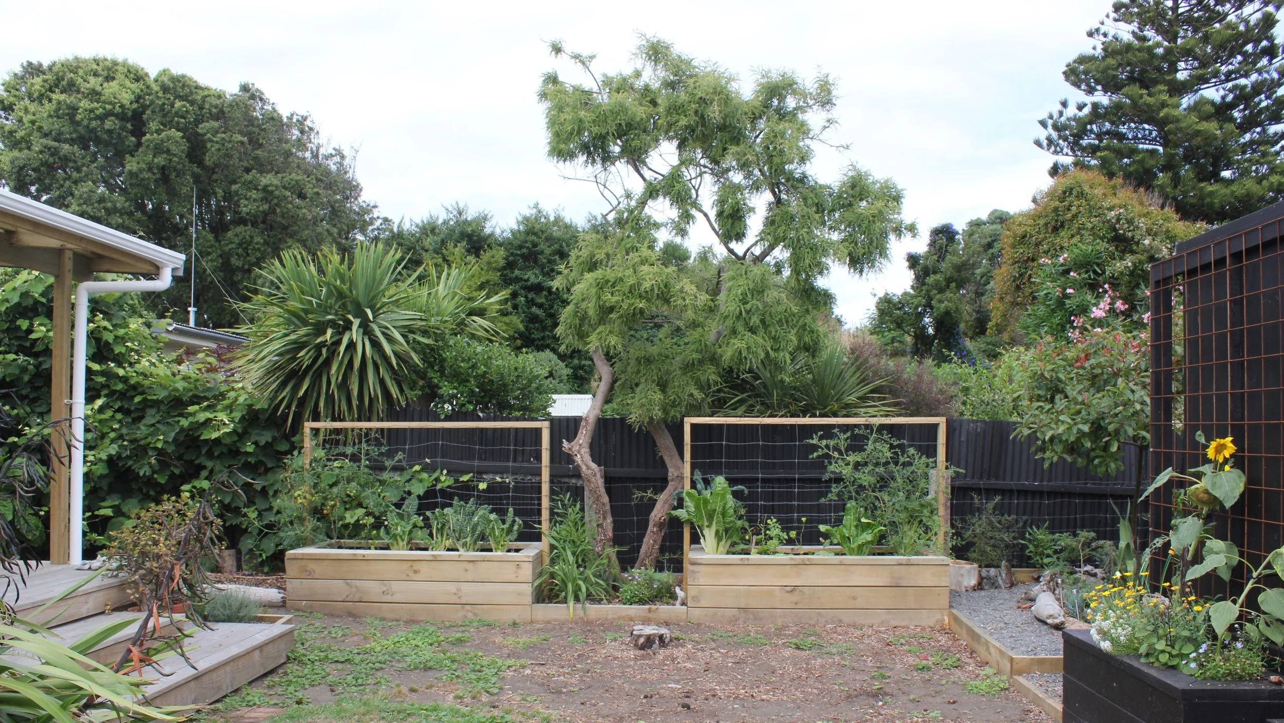 Cornfoot After (18).JPG