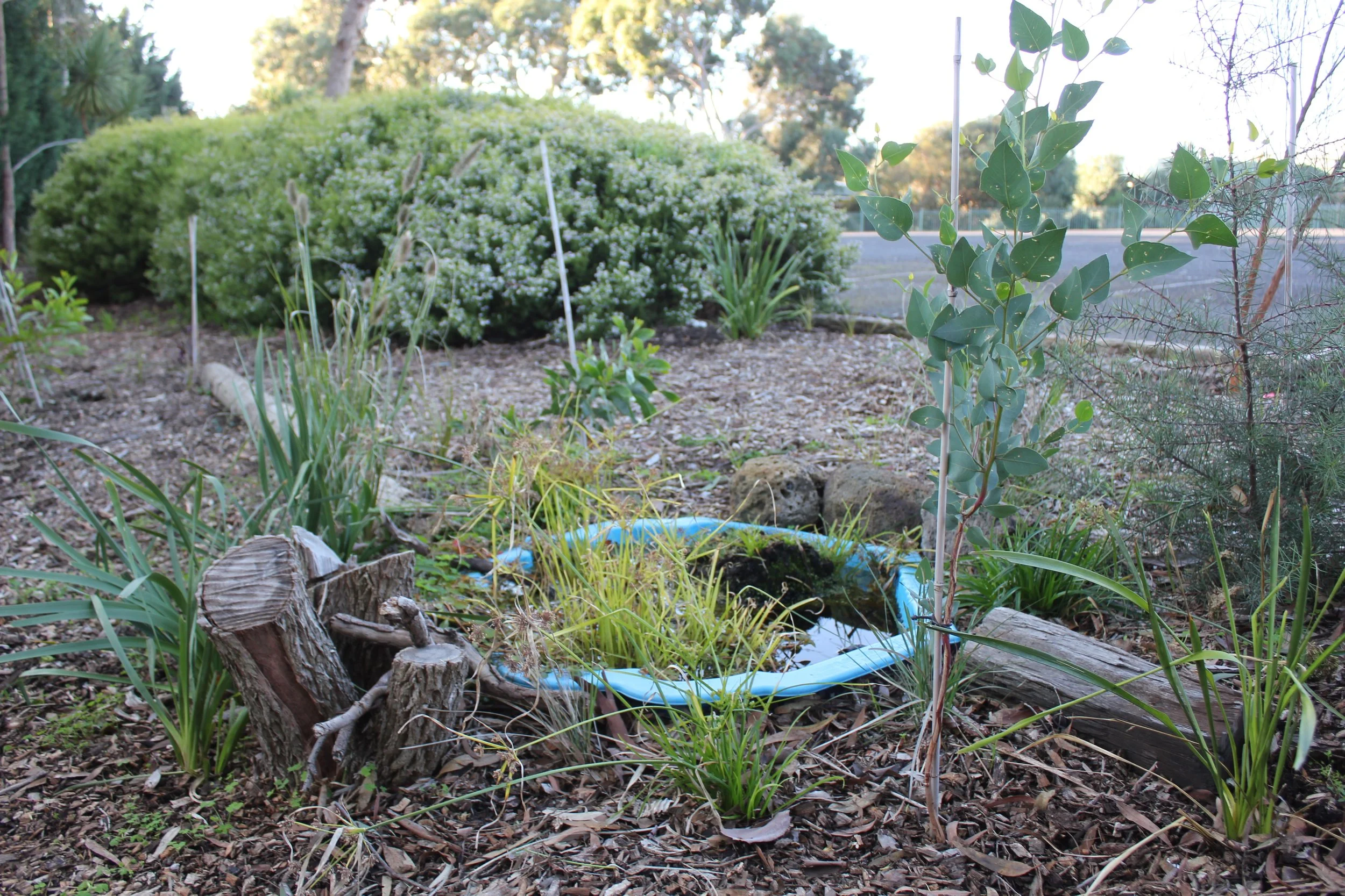 PVGC Carpark Entrance (45).JPG