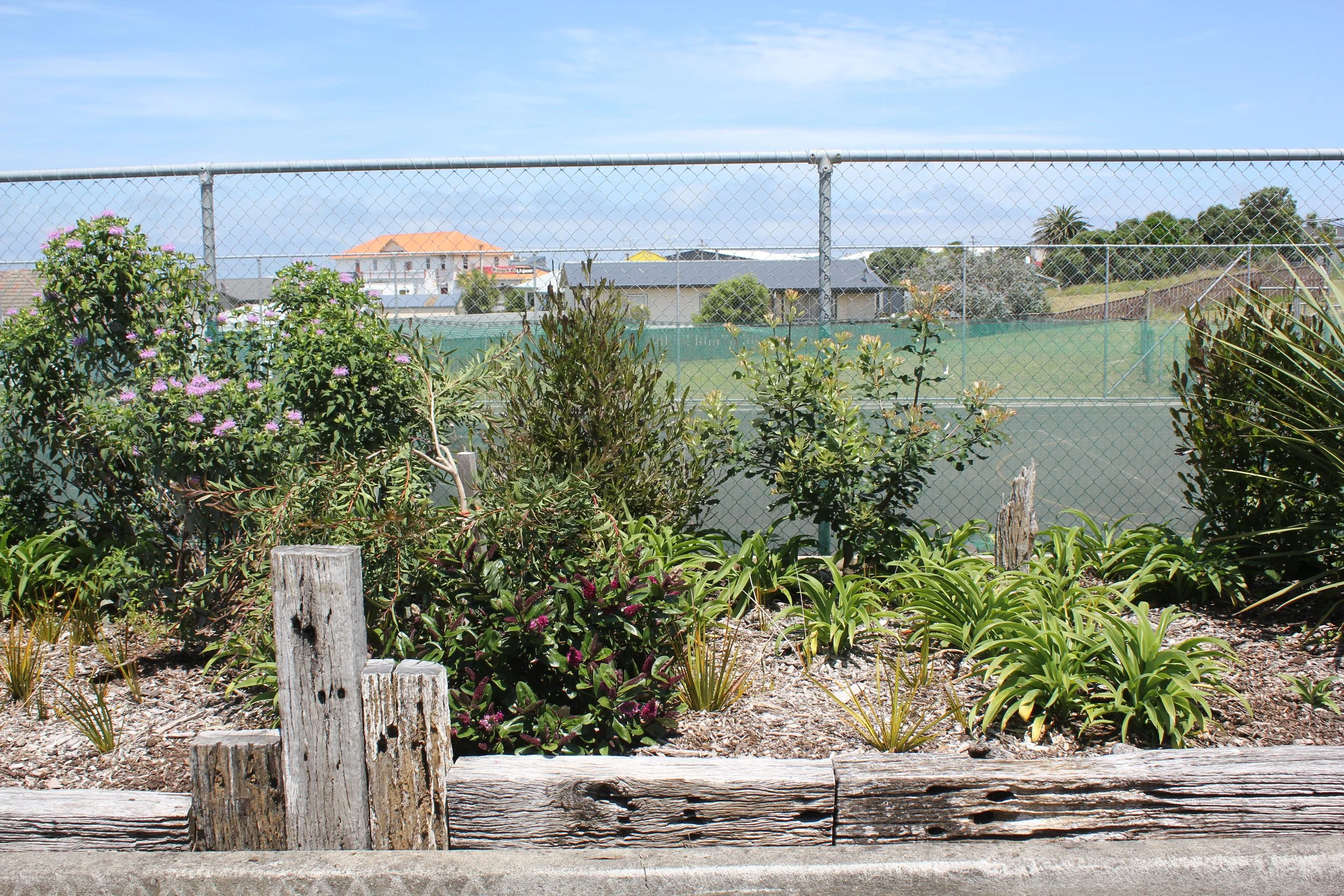 TKKM Matariki (37).JPG