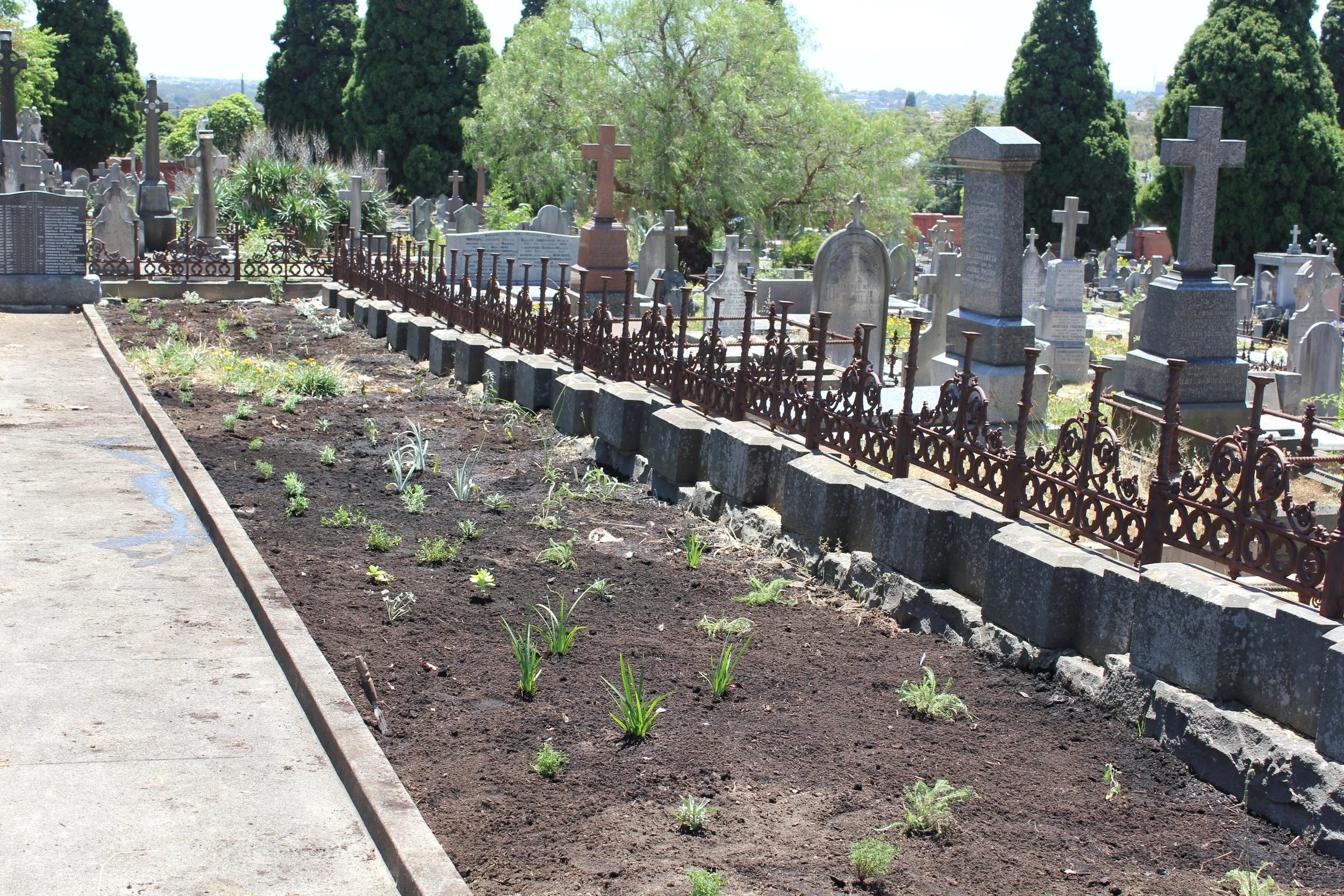 Sisters Project  (7).JPG